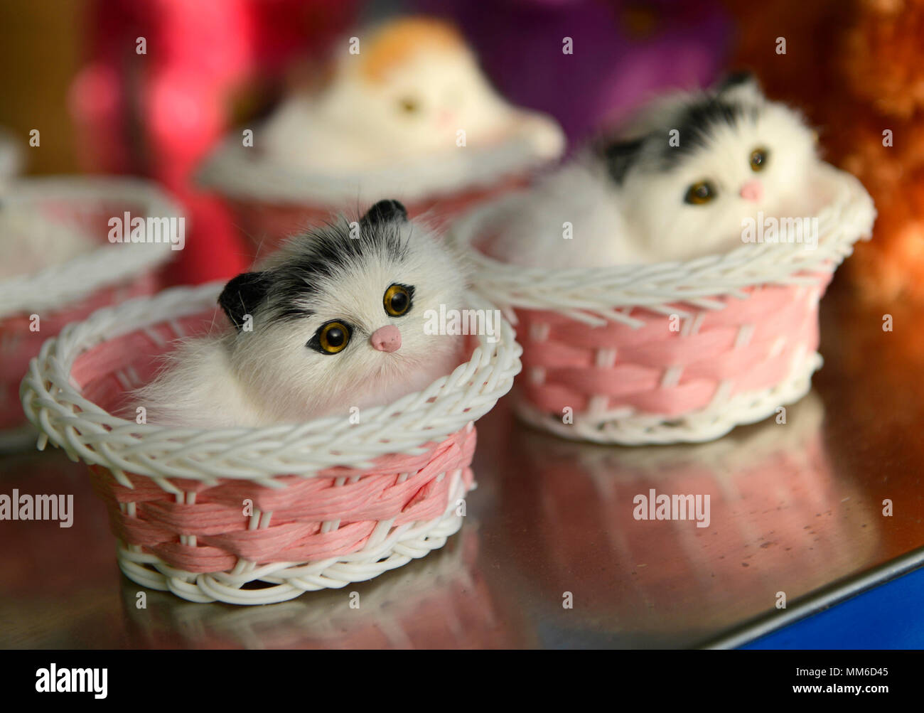 Toy cuccioli in cesti in vendita presso il Parco Chaoyang a Pechino in Cina Foto Stock