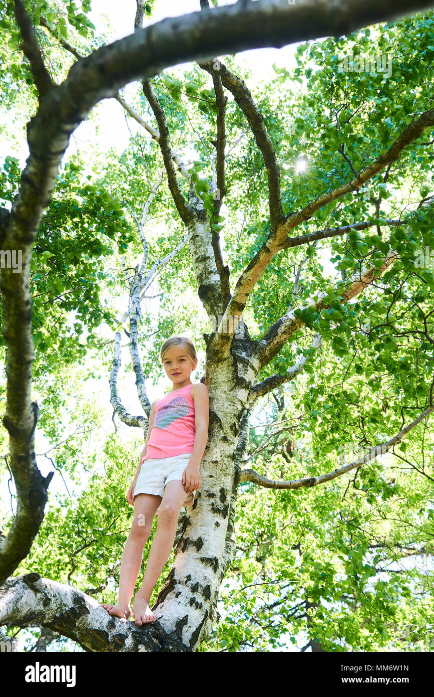 Bambino ragazza la riproduzione di arrampicata su un albero in un parco estivo all'aperto. Concetto di gioco sano e lo sviluppo del bambino nella natura Foto Stock