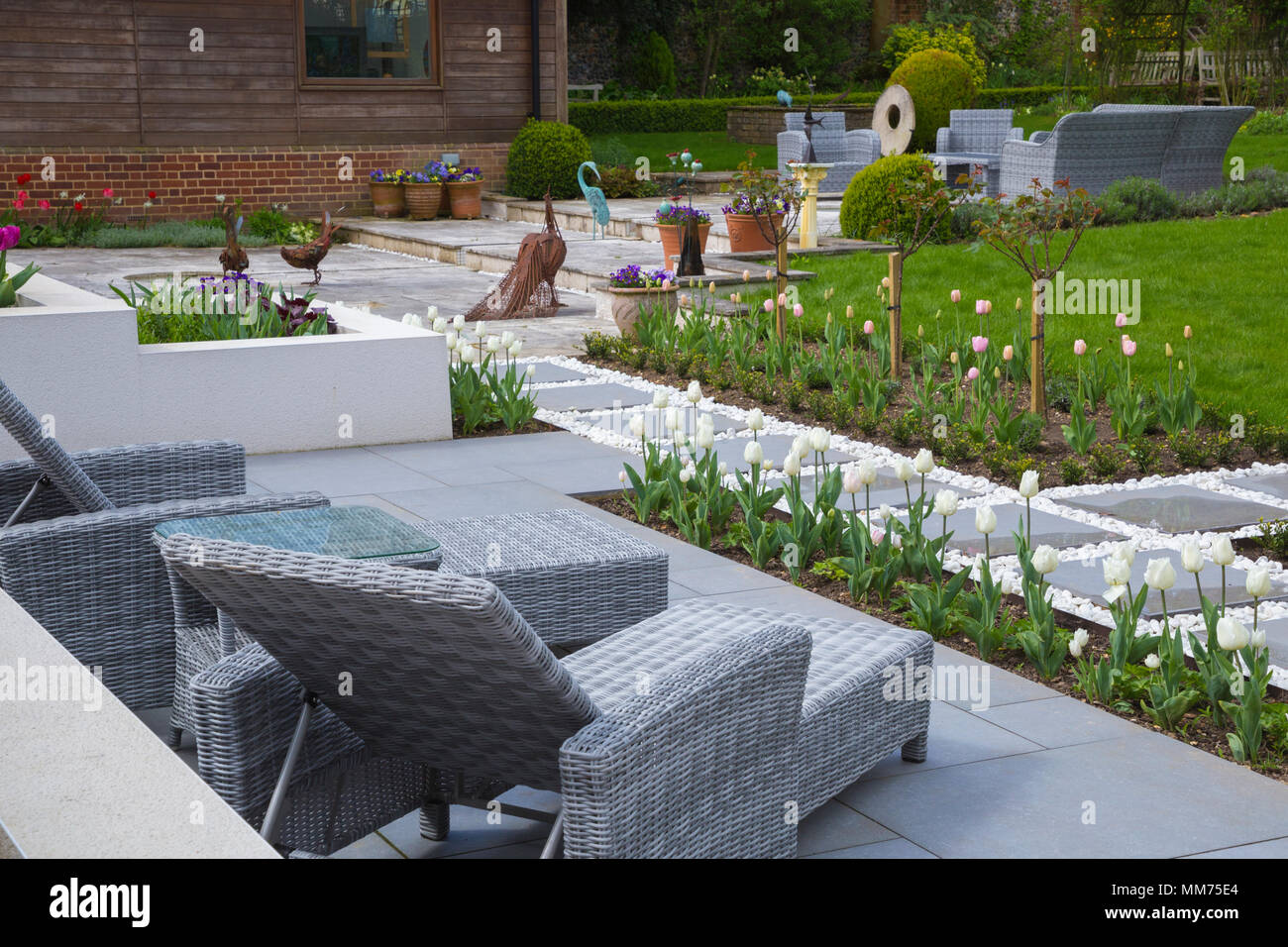 Panoramica del patio contemporaneo area con posti a sedere e Tulip letti, guardando verso il giardino. Credits: Design by Zinnia Garden Design. Costruzione per 4 Lif Foto Stock