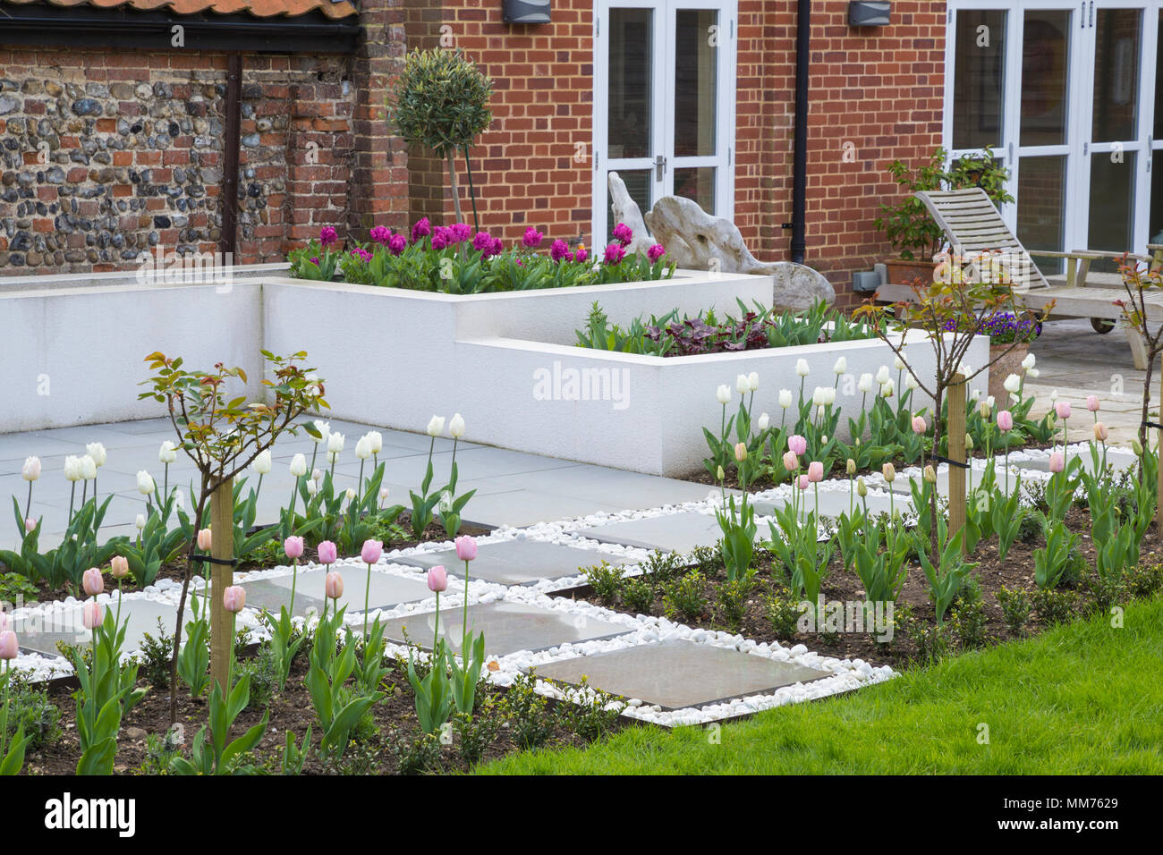 Standard di mezza Rosa "Stella Polare" e Tulipa "diamante rosa' linea l'ingresso alla contemporanea area patio. Credits: Design by Zinnia Garden Design. Const Foto Stock