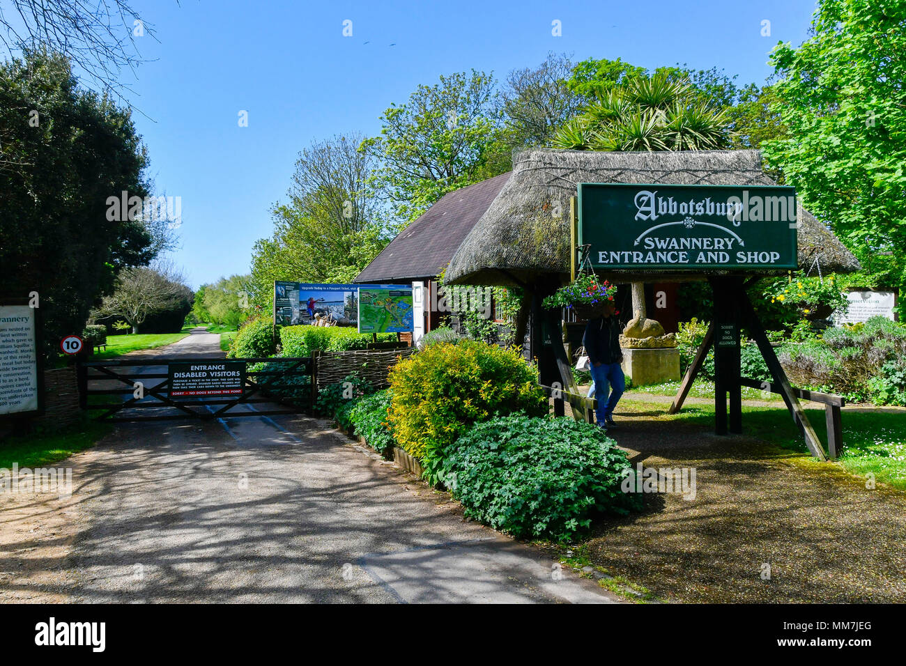 Abbotsbury Swannery, Abbotsbury, Dorset, Regno Unito. Il 10 maggio 2018. Vista dell'ingresso a Abbotsbury Swannery nel Dorset come il primo dei baby cigno cygnets avviare oggi da cova. Credito Foto: Graham Hunt/Alamy Live News Foto Stock