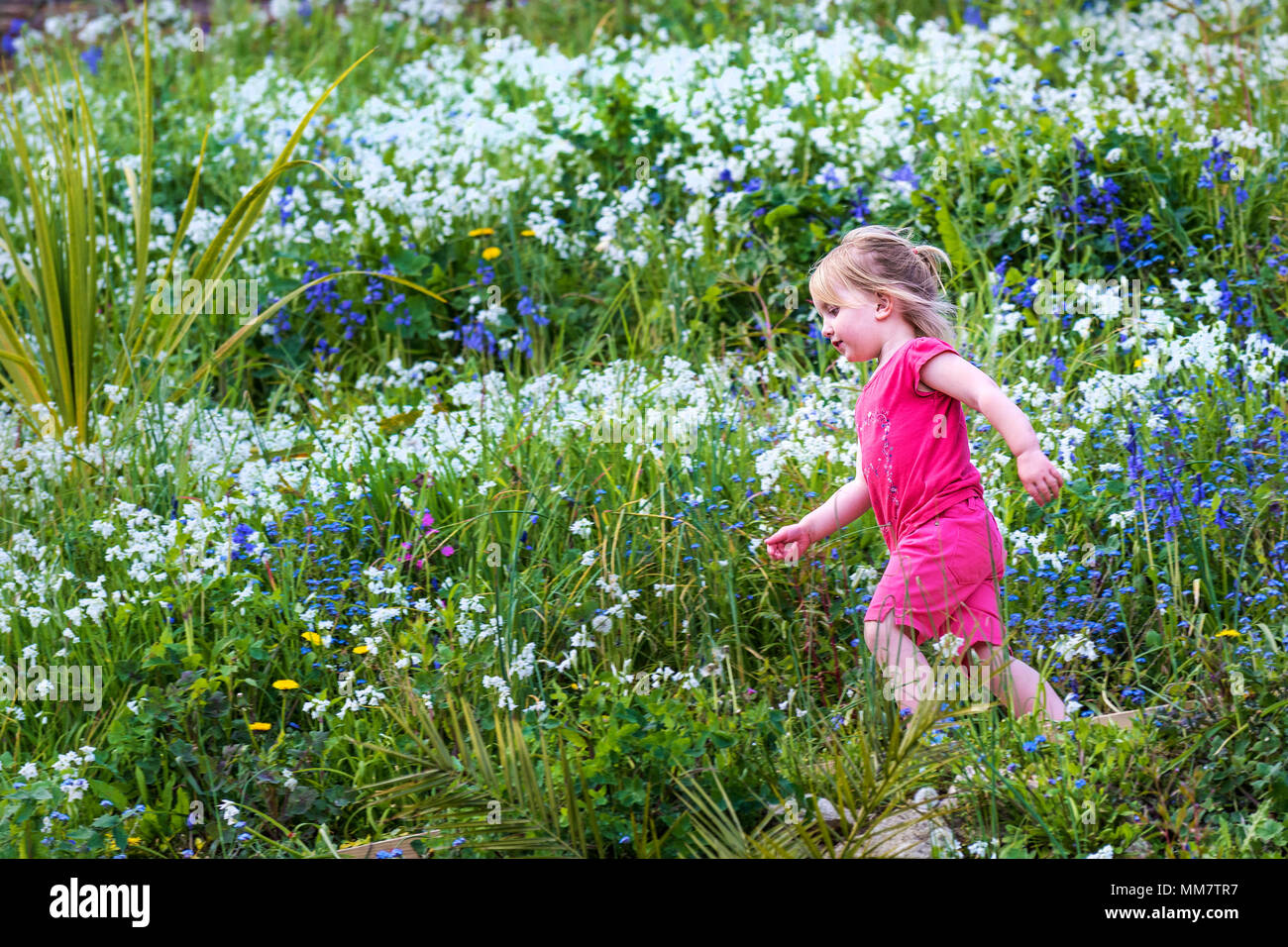Una giovane ragazza che corre attraverso un giardino pieno di fiori selvatici. Foto Stock