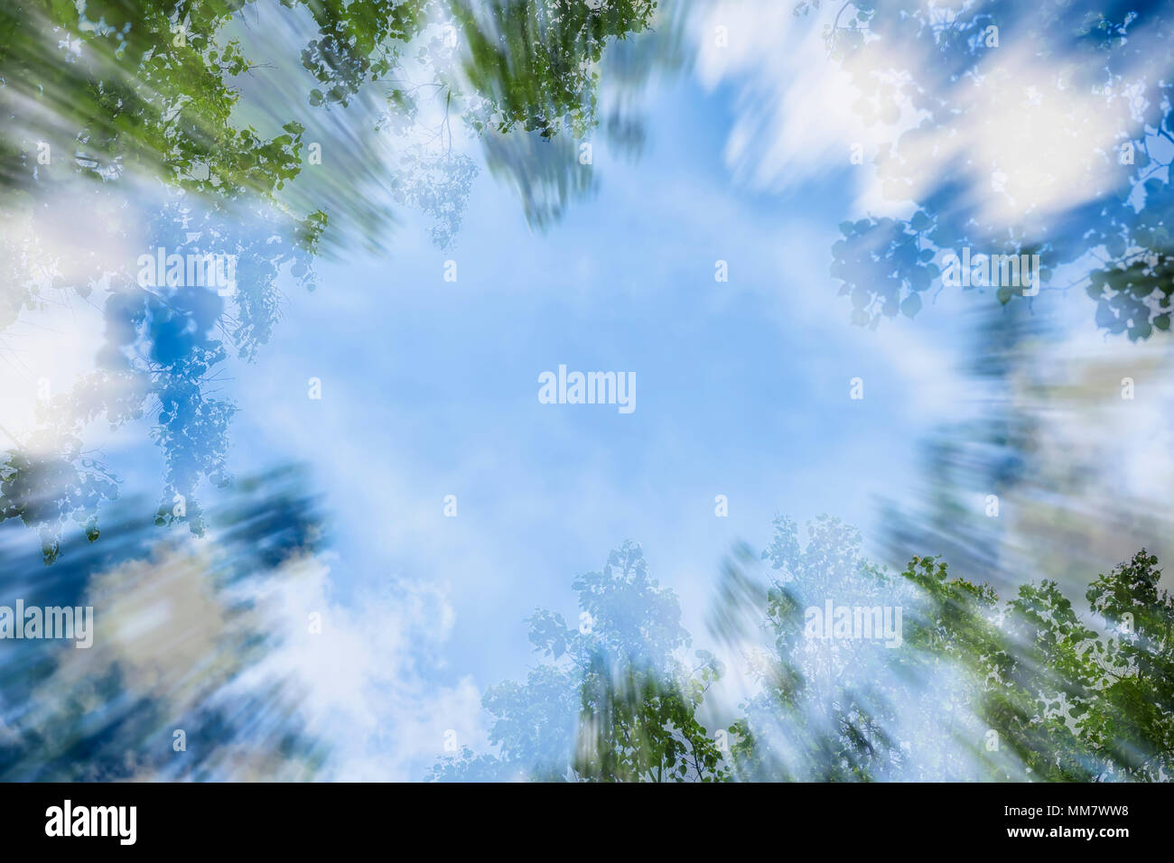 Cornice naturale, astratti sullo sfondo di un cielo blu con nuvole bianche e verdi foglie, primavera, estate, doppia composizione. Spazio di copia Foto Stock
