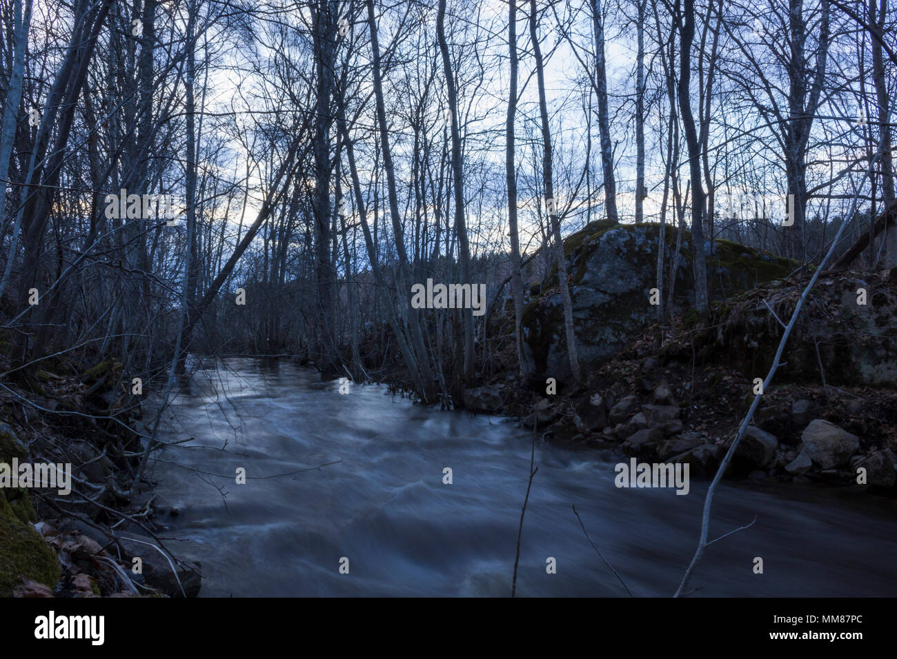 Bagnato pietre in primo piano, la molla alluvione di solito un piccolo fiume in una foresta nel nord della Svezia. Foto Stock