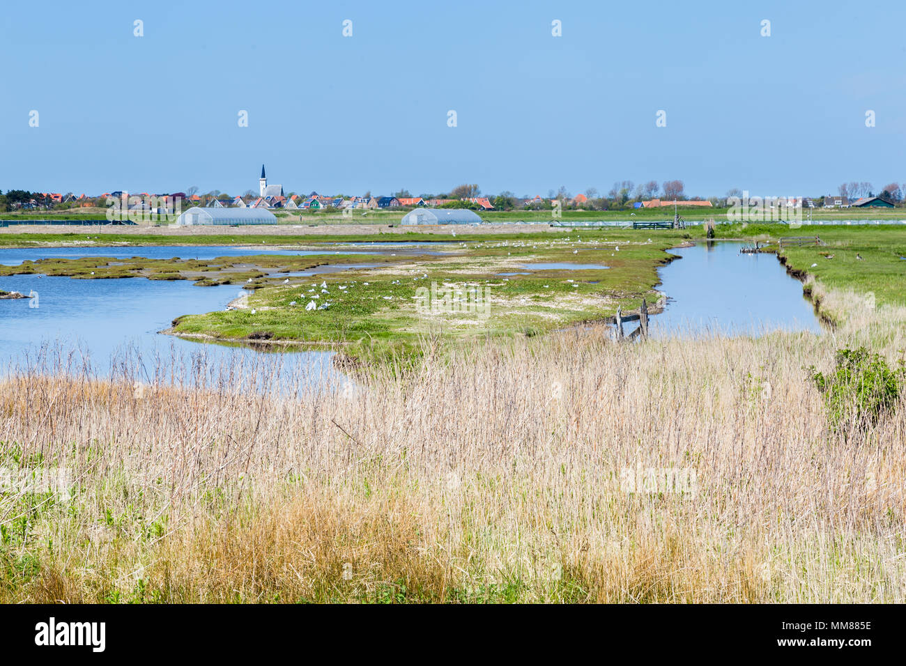 Skyline Den Hoorn Texel nei Paesi Bassi Foto Stock