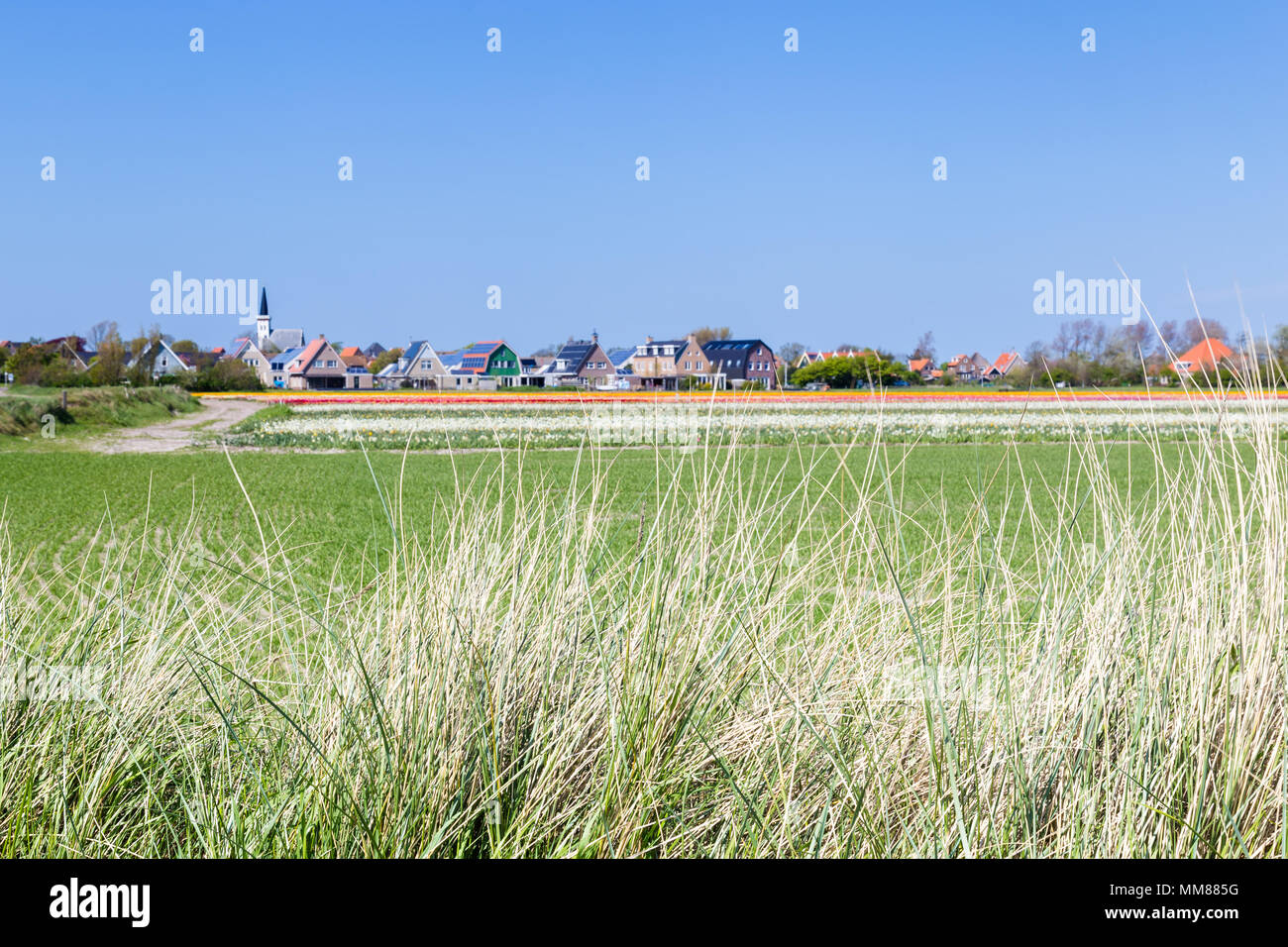 Skyline Den Hoorn Texel nei Paesi Bassi Foto Stock