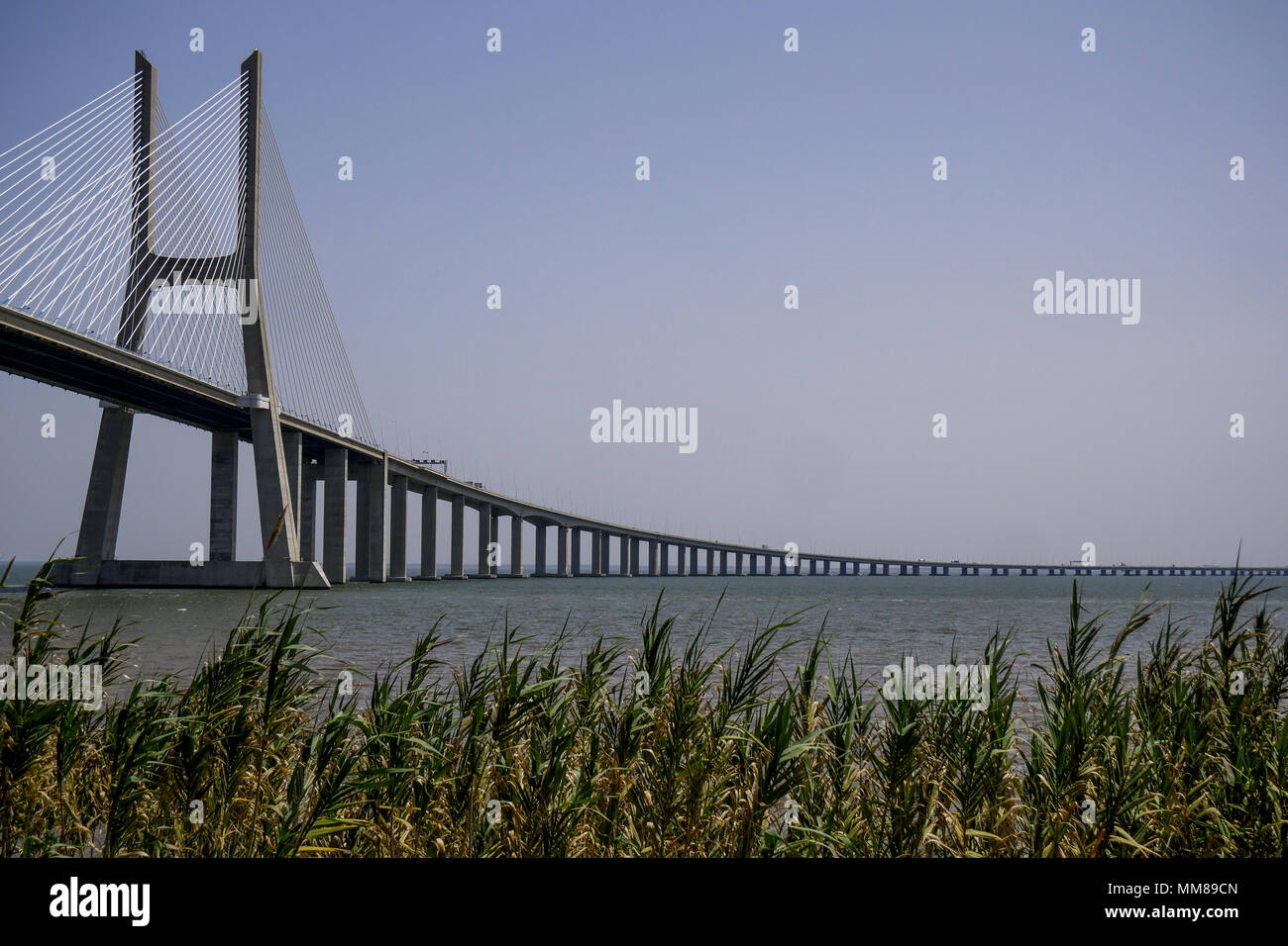 Ponte Vasco de Gama, visto dal Tage banche, Parco delle nazioni, Lisbona, Portogallo Foto Stock