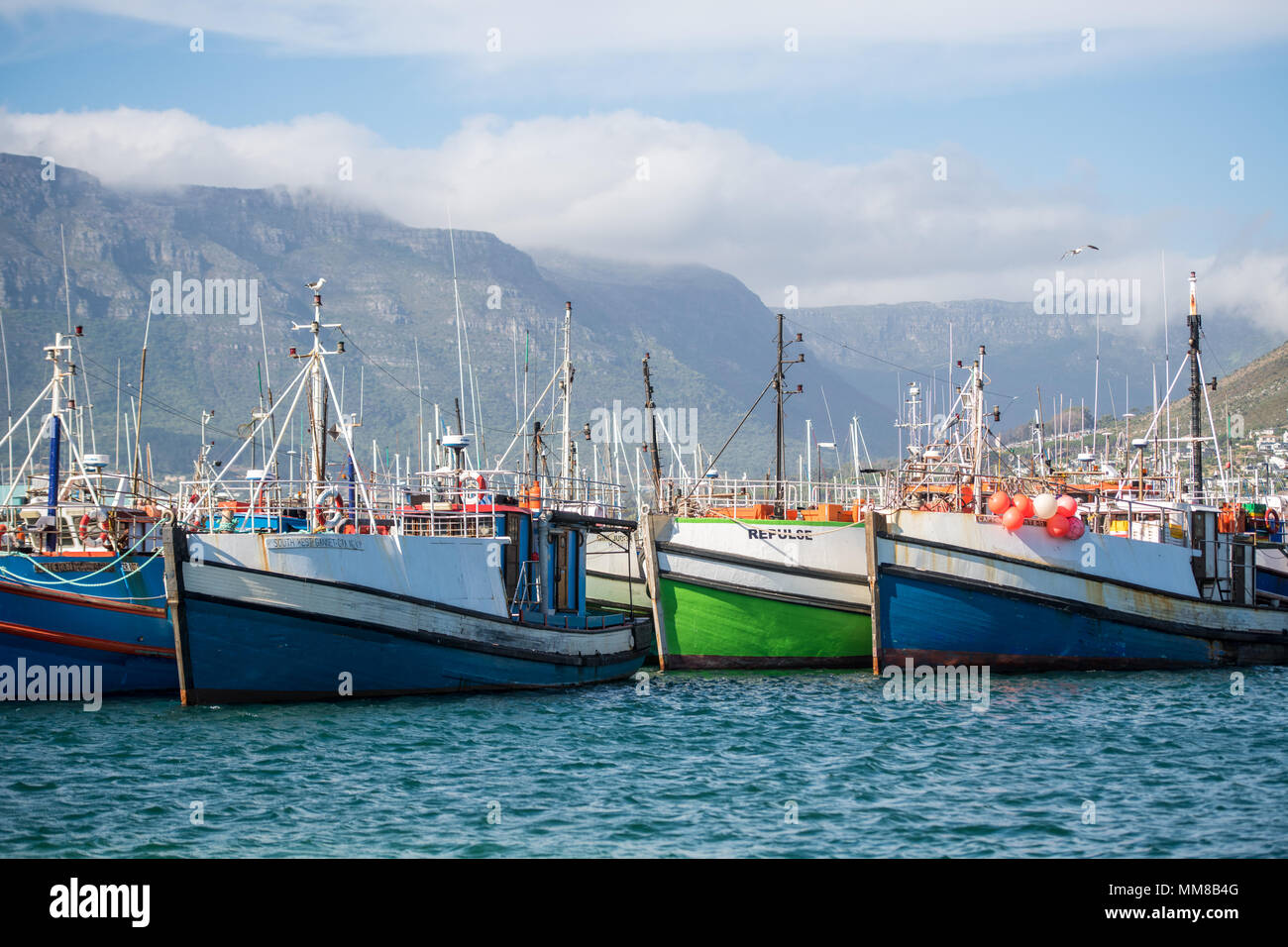 Colorate barche ormeggiate in acqua in Hout Bay a Cape Town, Sud Africa Foto Stock