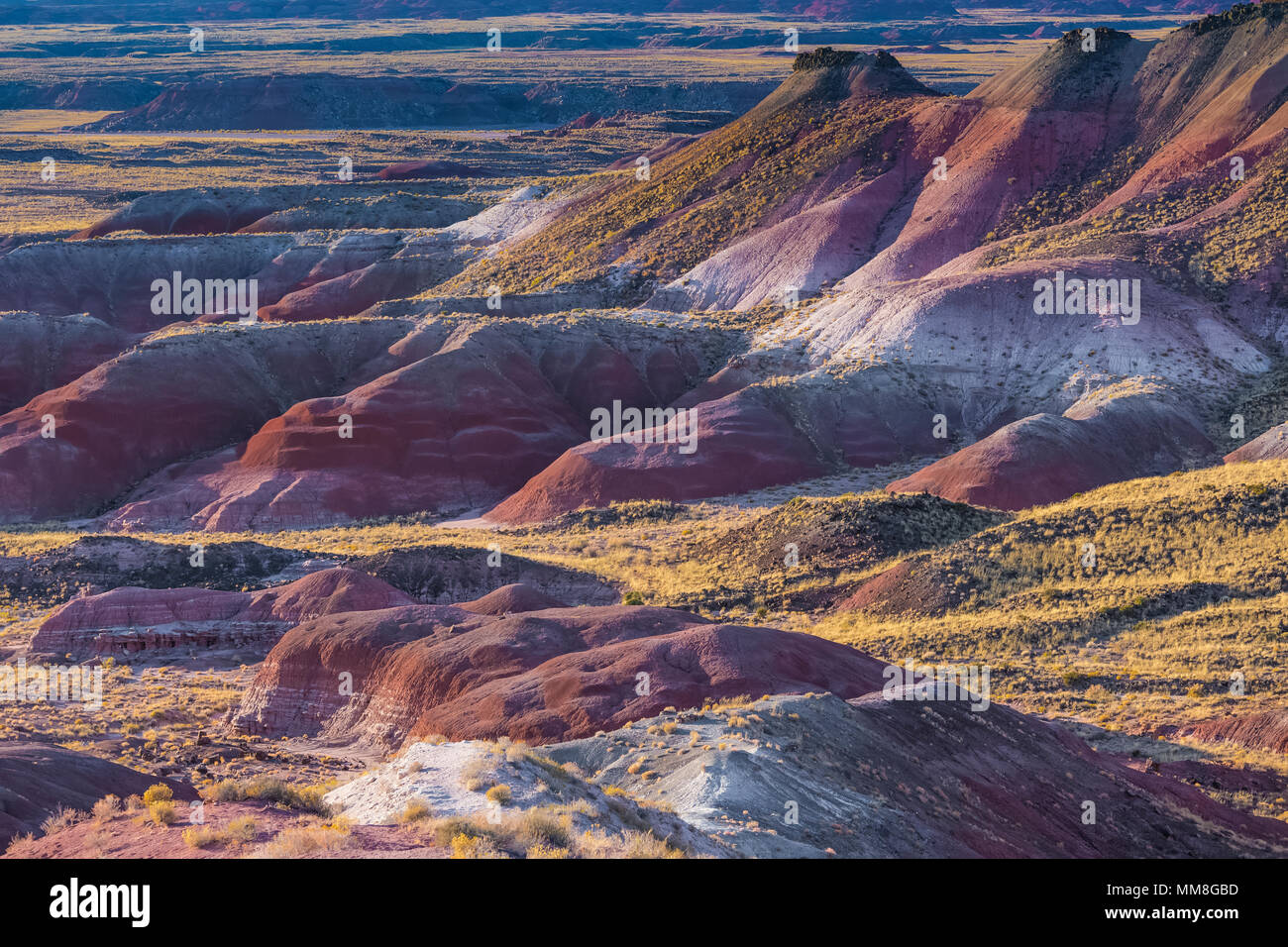 Verniciato colorato dei paesaggi del deserto visto dal lungo la strada del parco nella sezione di nel Parco Nazionale della Foresta Pietrificata a nord della Interstatale 40, Arizona Foto Stock