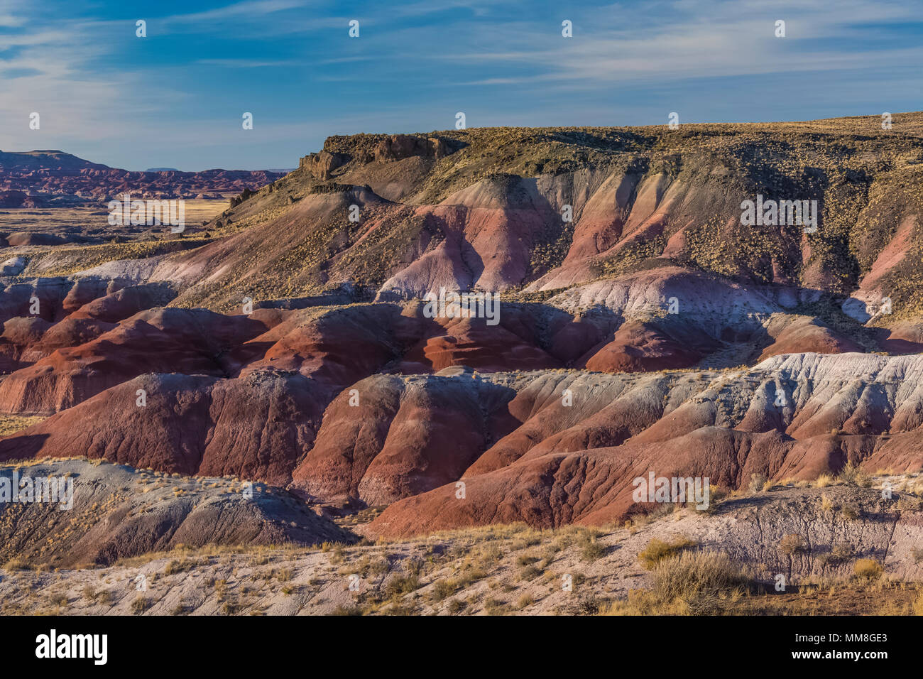 Verniciato colorato dei paesaggi del deserto visto dal lungo la strada del parco nella sezione di nel Parco Nazionale della Foresta Pietrificata a nord della Interstatale 40, Arizona Foto Stock