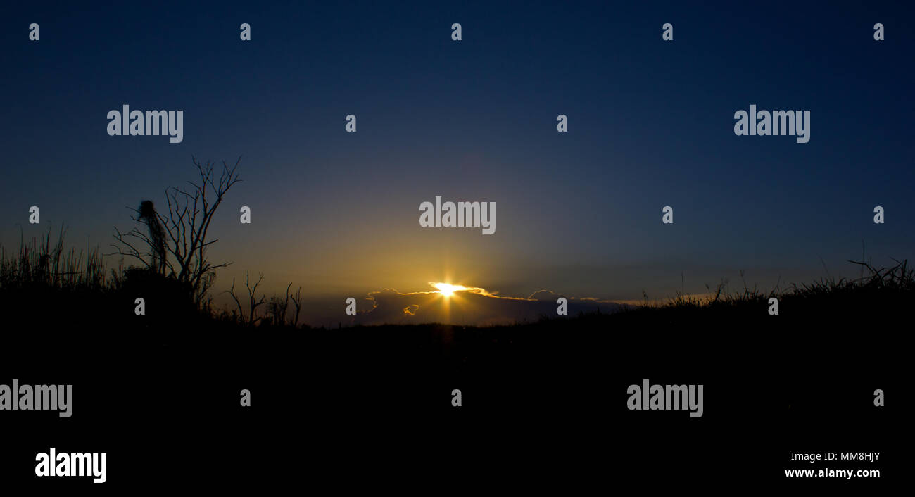 Un bel tramonto segnala la fine della giornata in Everglades della Florida. Fotografato in dicembre con pochissime zanzare...sempre una buona cosa! Foto Stock