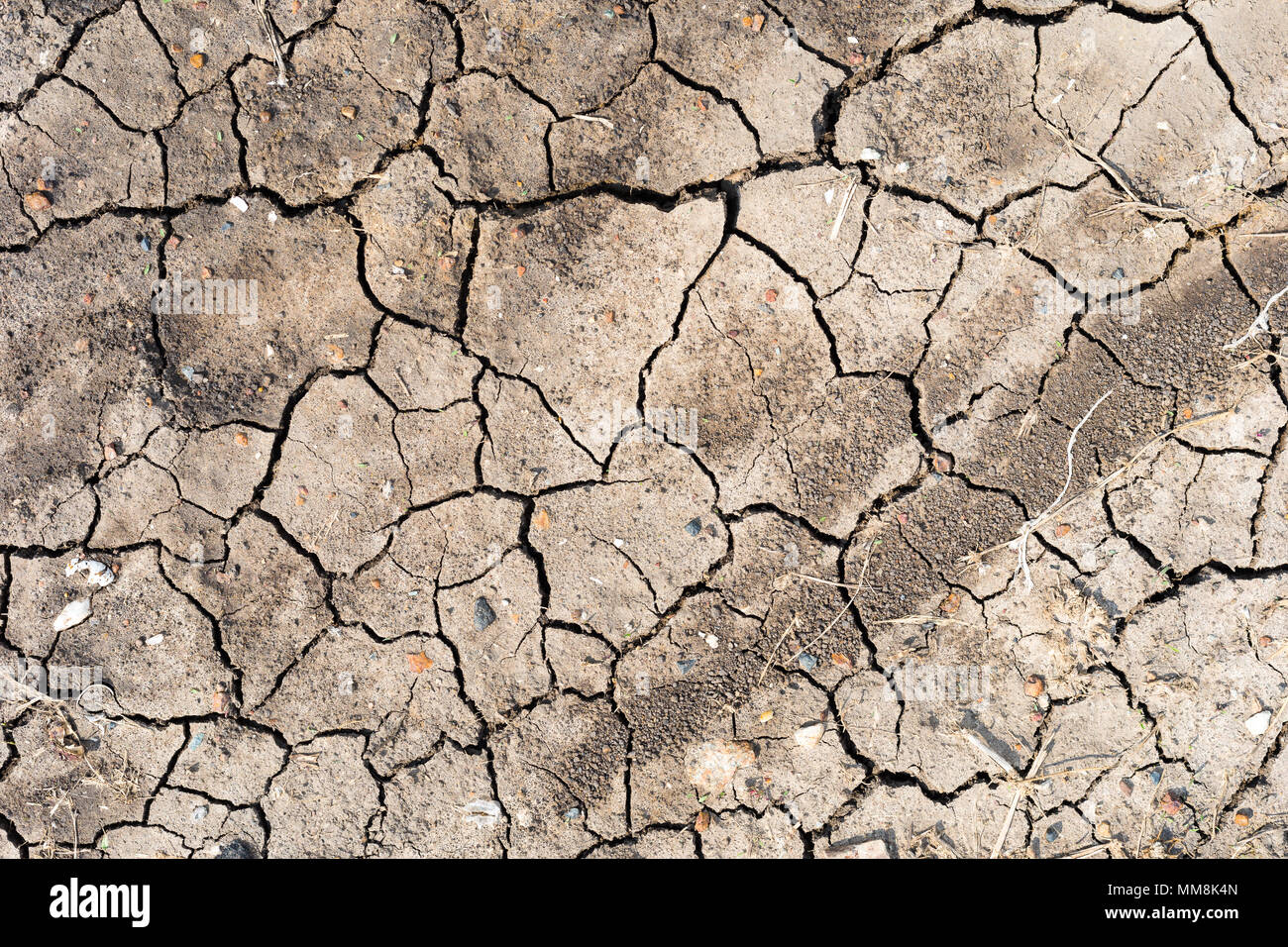 Il crack suolo sulla stagione secca , riscaldamento globale effetto Foto Stock