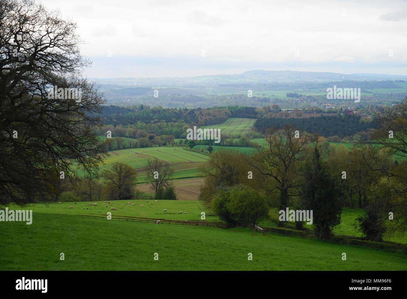 Vista di Staffordshire Moorlands da una collina nei pressi di Enville Foto Stock