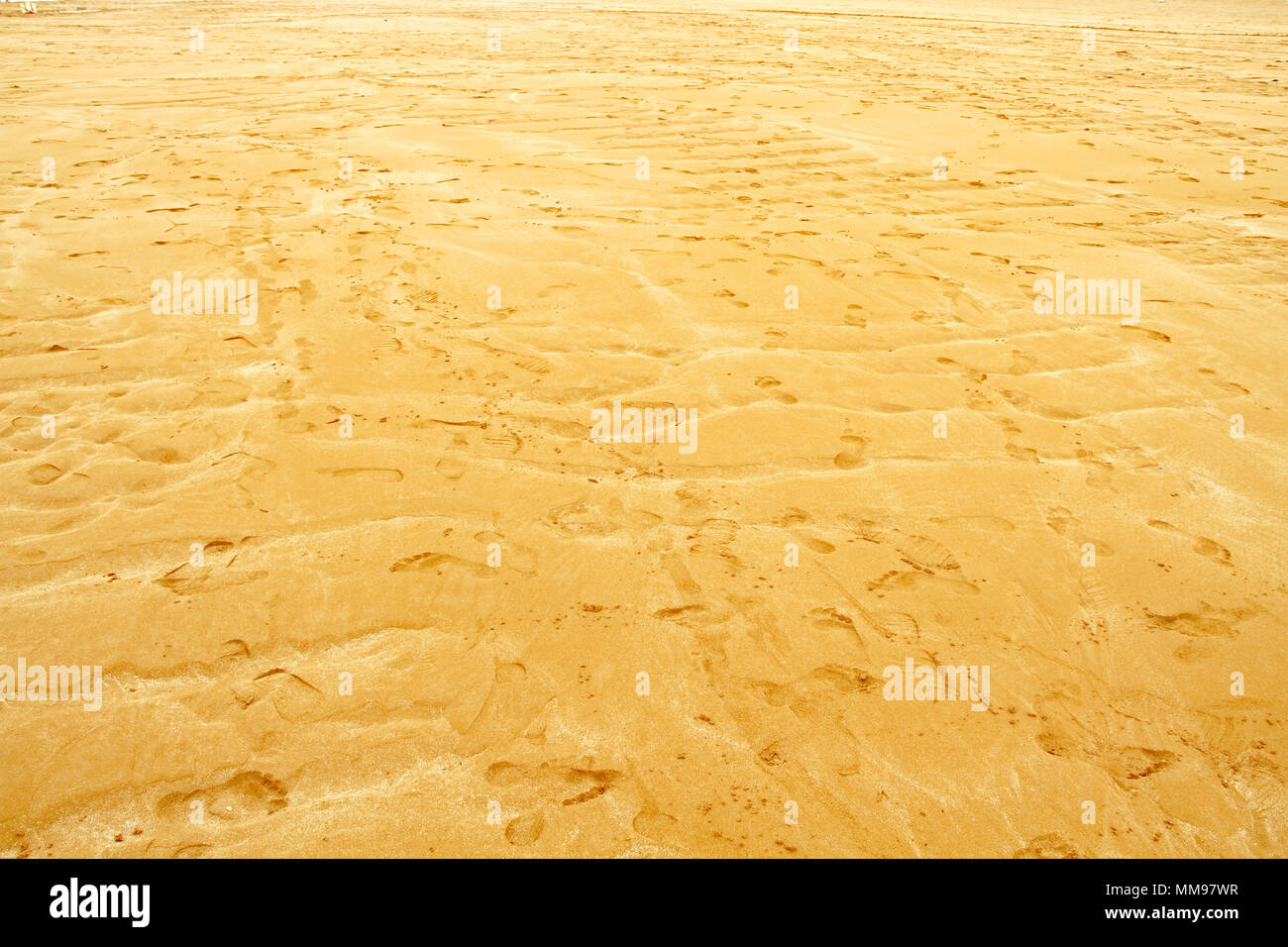 Areia Vermelha Isola, Areia Vermelha beach, Areia Vermelha stato marino Park, Cabedelo, Paraiba, Brasile Foto Stock