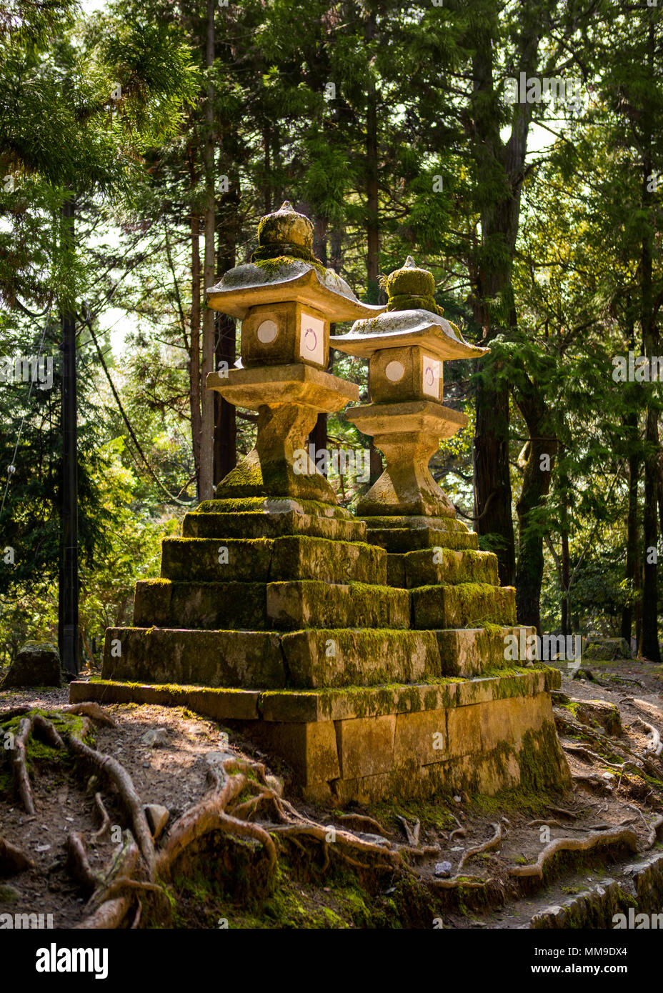 Enormi lanterne di pietra nel Parco di Nara, Prefettura di Nara, Giappone Foto Stock