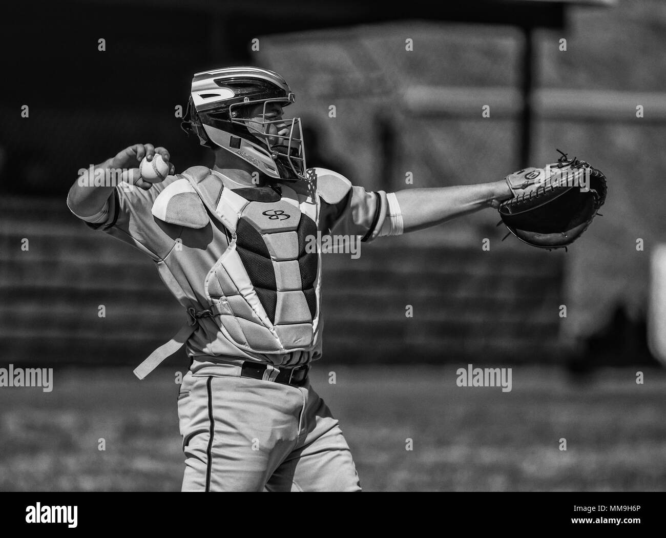 Azione di baseball con Shasta vs. Red Bluff High School in Red Bluff, California. Foto Stock