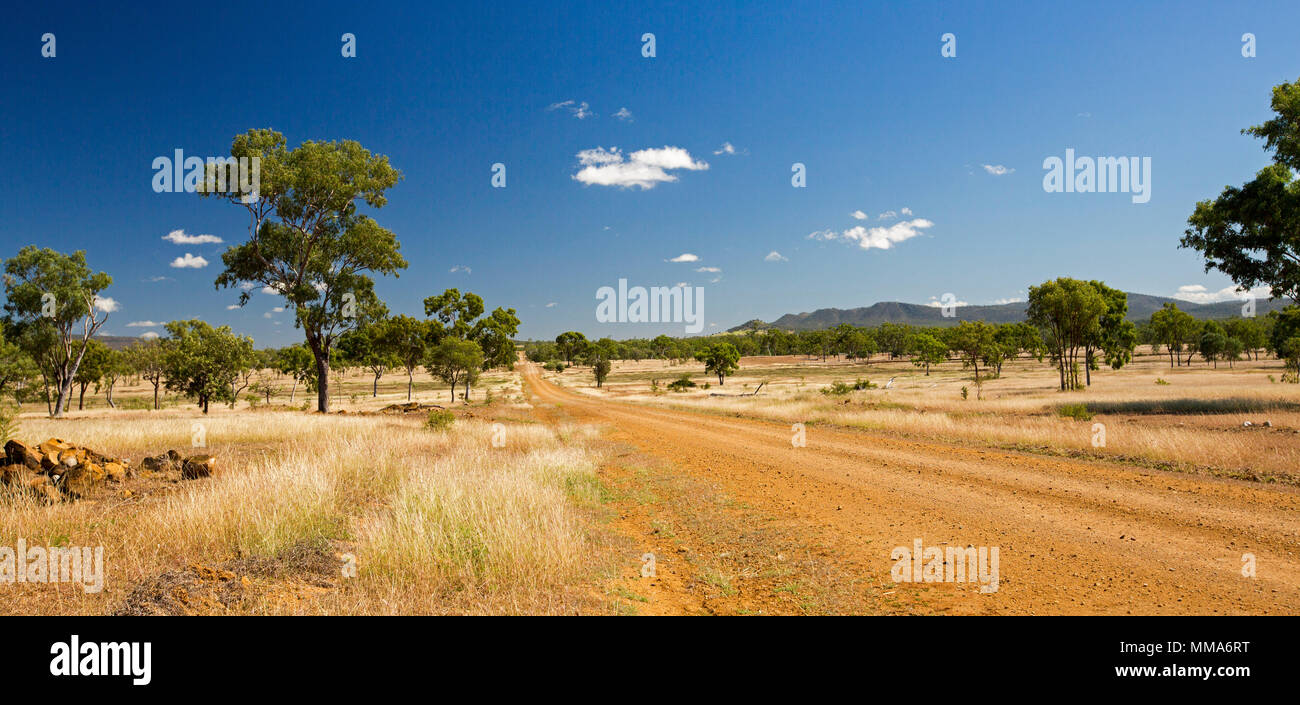 Colorato entroterra australiano di paesaggio con red sterrato attraversando pianure ammanta con erba dorata & disseminati di alberi a intervalli distanti sotto il cielo blu Foto Stock