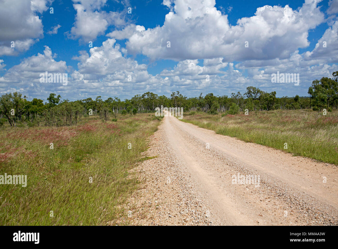 Strada di ghiaia per affettare attraverso il paesaggio di rosso e verde erbe orlate da alberi sotto il cielo blu a Homevale Parco Nazionale in Queensland Australia Foto Stock