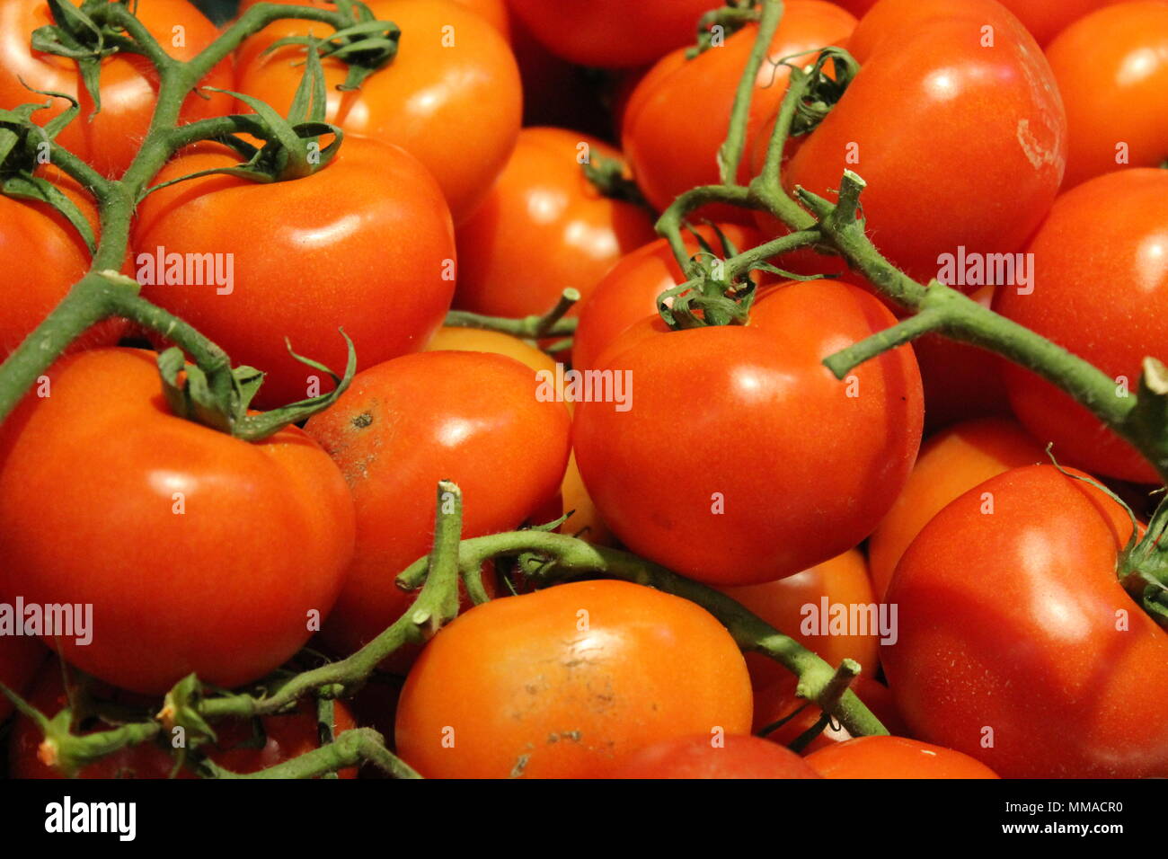 Cesto di rosso fresco vegetali vegano pomodori Foto Stock