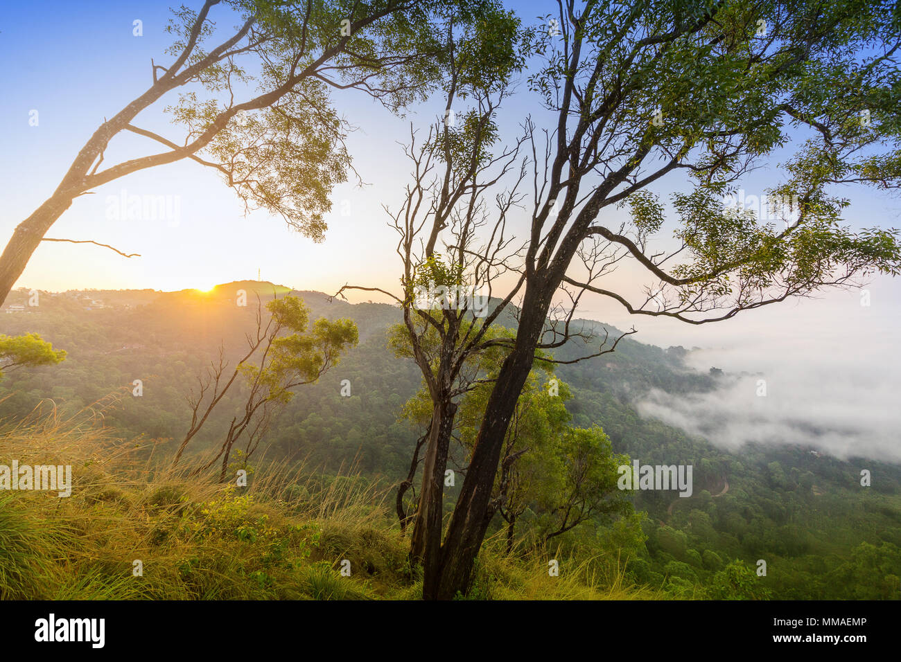 Scena di mattina da Madikeri. Situato in Kodagu, noto anche come Coorg, un distretto rurale nel sud-ovest dello stato indiano del Karnataka. Foto Stock