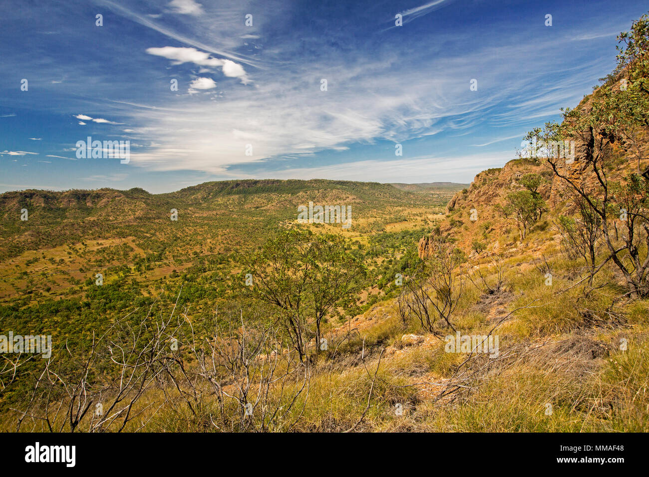 Vista del vasto entroterra paesaggio di gamme e pianure sotto il cielo blu da lookout a Minerva Hills National Park, vicino Springsure Queensland Australia Foto Stock