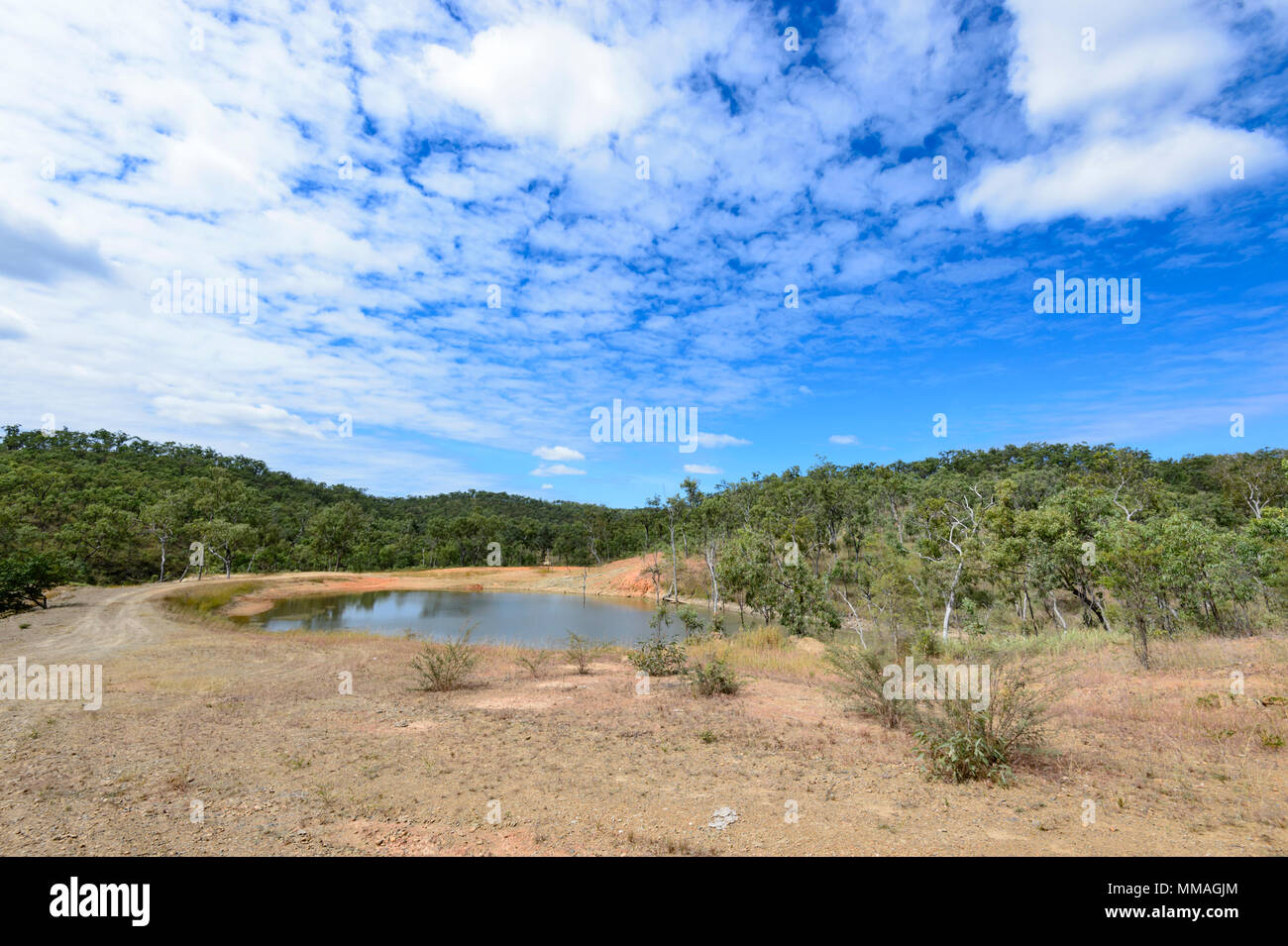 Foro di bere per il bestiame a Palmer River Goldfield, vicino Maytown, estremo Nord Queensland, FNQ, QLD, Australia Foto Stock