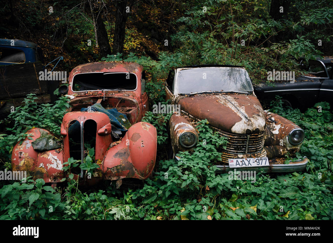 Pasanauri, Georgia - 21 Ottobre 2016: il vecchio arrugginito fuori rottami retrò vettura Opel Kapitan 1948 che è stato abbandonato nella foresta di boschi Foto Stock