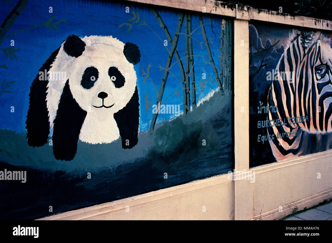 Panda in Bangkok in Thailandia nel sud-est asiatico in Estremo Oriente Foto Stock