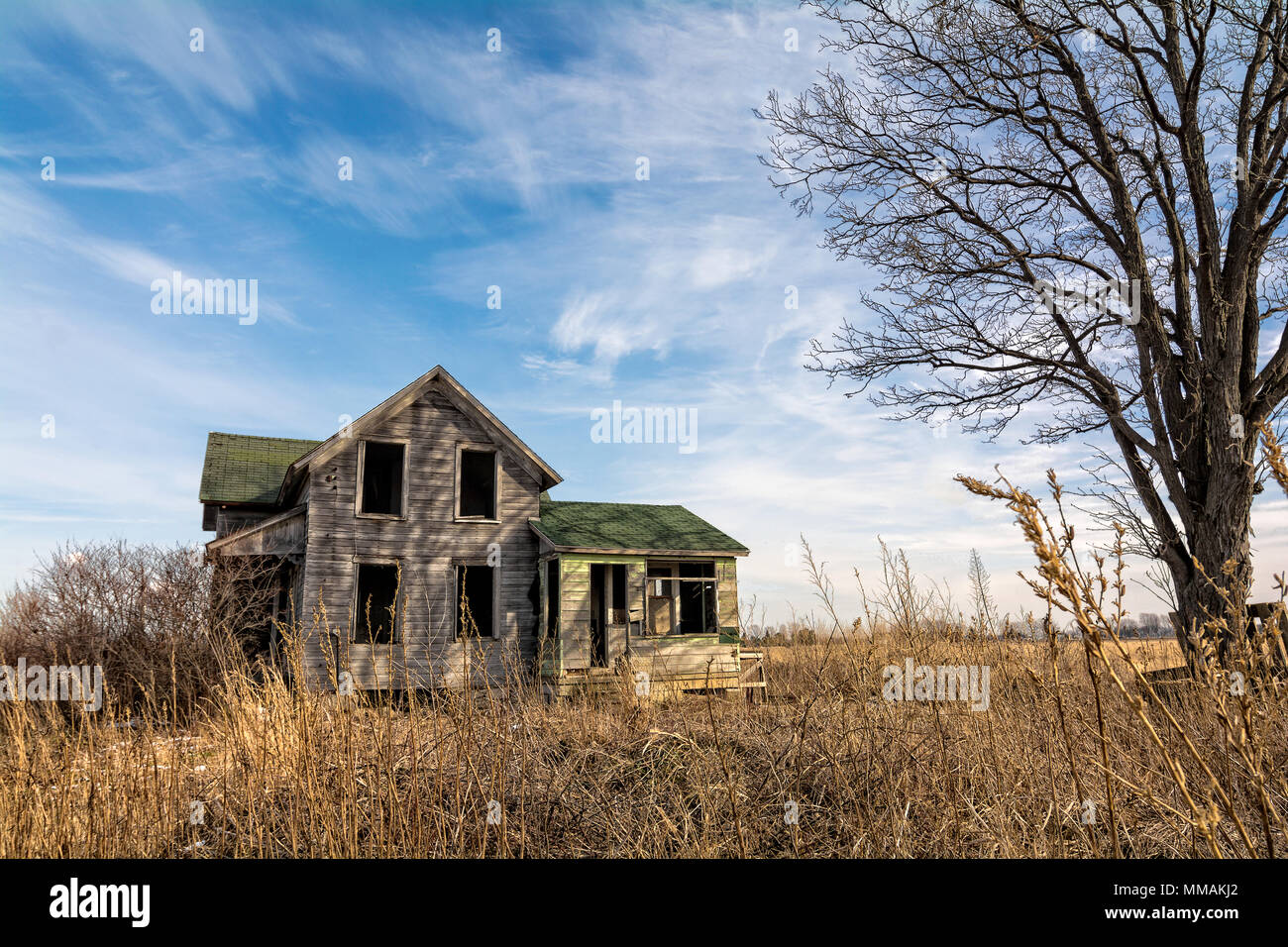 Un vecchio scary abbandonato farm house che si sta deteriorando con il tempo con un vecchio albero e condito con una bella parzialmente nuvoloso sky. Foto Stock