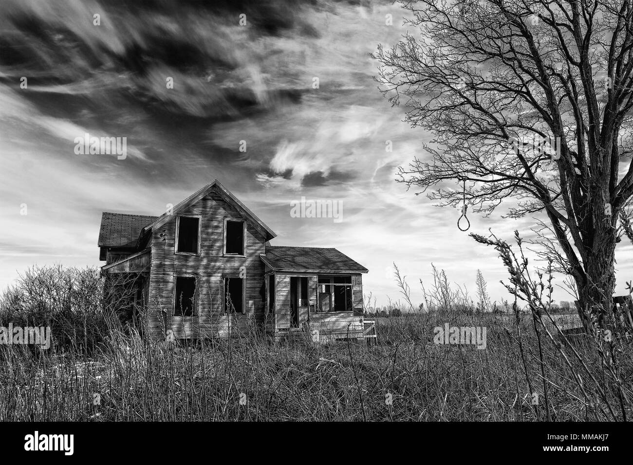 Foto in bianco e nero di un vecchio scary fattoria abbandonata che sta peggiorando con il tempo con un vecchio albero e un impiccato il cappio. Foto Stock