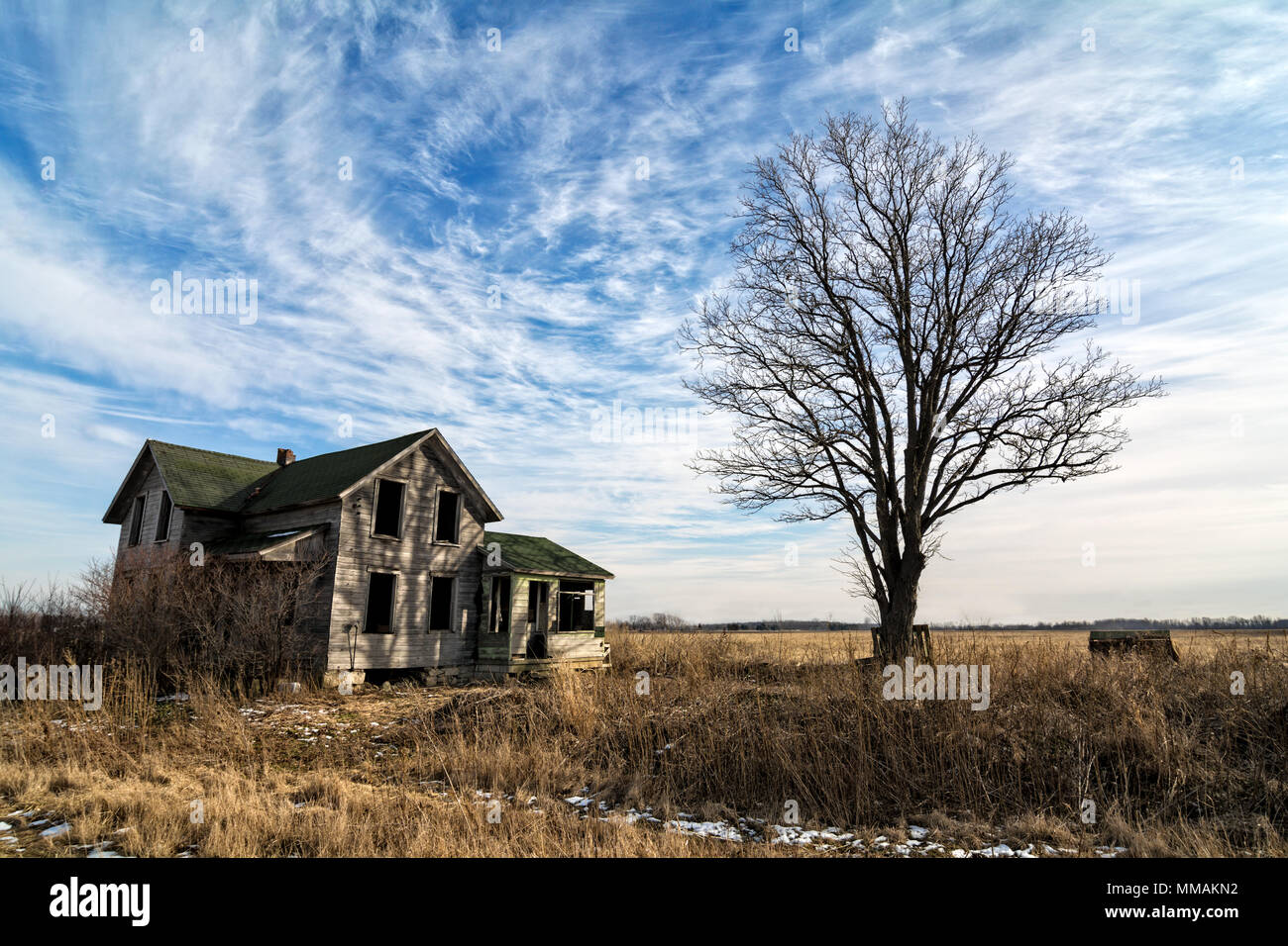 Foto di un vecchio scary fattoria abbandonata che sta peggiorando con il tempo e l'incuria. Potenziato da un vecchio albero con una bella nuvoloso cielo blu. Foto Stock