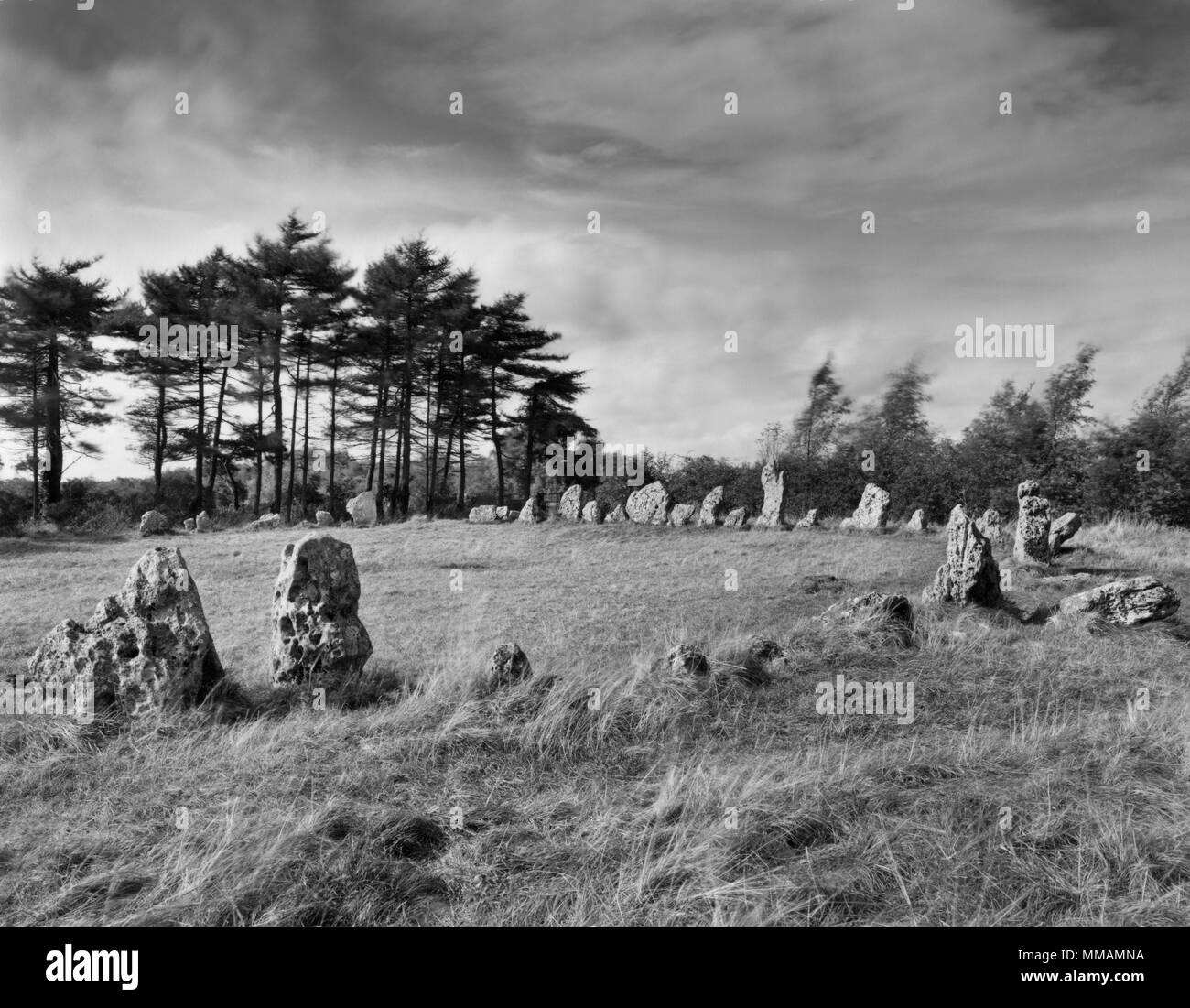 Visualizzare WNW del Rollright Stones tardo Neolitico Stone Circle (aka gli uomini del re), Oxfordshire, Inghilterra, Regno Unito, mostrando la metà settentrionale del cerchio. Foto Stock