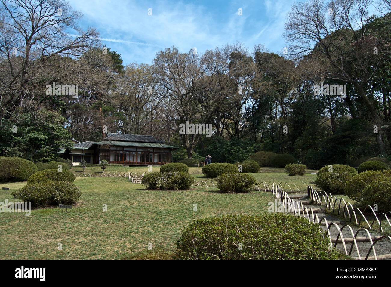 meiji-jingu-santuario-giardino-interno-immagini-e-fotografie-stock-ad
