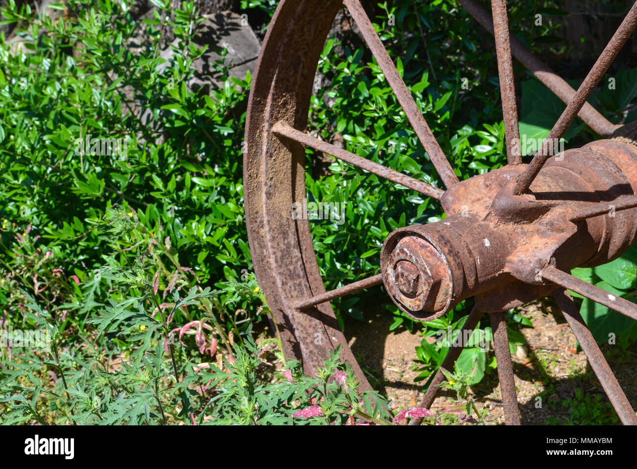 Rancho Bernardo in California - la più antica cantina di lavoro. Vintage scene arrugginita farm equipment per mulini a vento pigramente di filatura nella brezza. Fiori Foto Stock