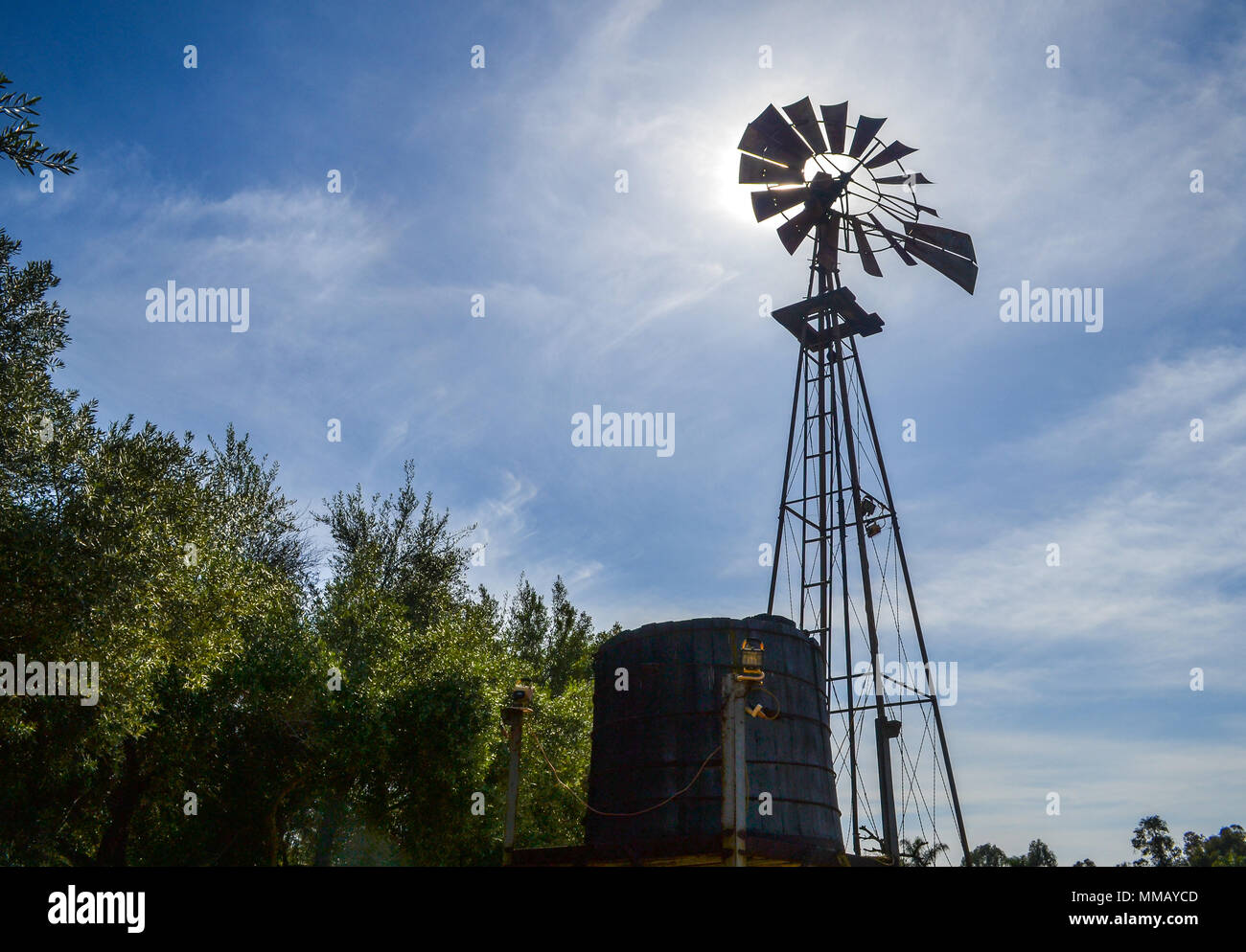 Rancho Bernardo in California - la più antica cantina di lavoro. Vintage scene arrugginita farm equipment per mulini a vento pigramente di filatura nella brezza. Fiori Foto Stock