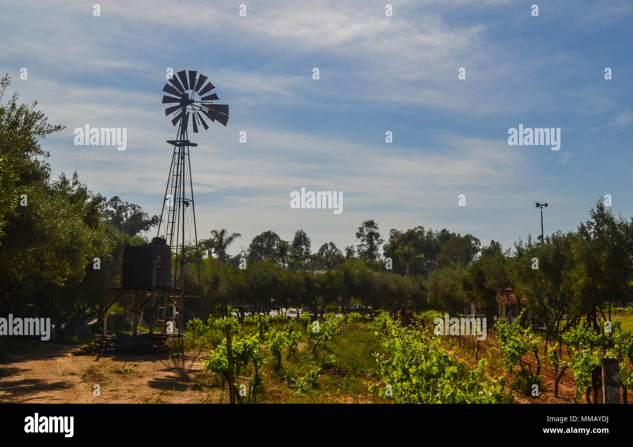 Rancho Bernardo in California - la più antica cantina di lavoro. Vintage scene arrugginita farm equipment per mulini a vento pigramente di filatura nella brezza. Fiori Foto Stock