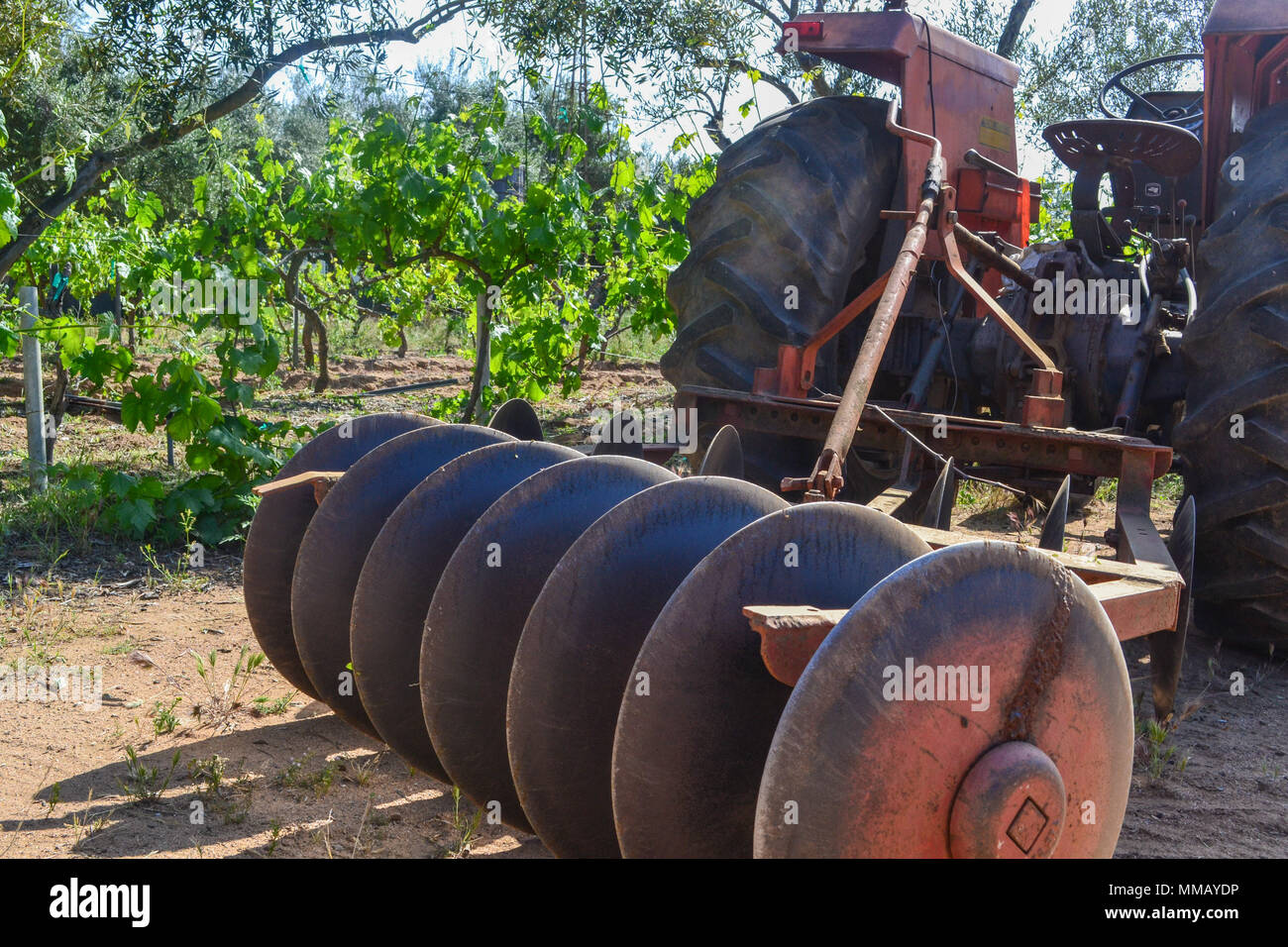 Rancho Bernardo in California - la più antica cantina di lavoro. Vintage scene arrugginita farm equipment per mulini a vento pigramente di filatura nella brezza. Fiori Foto Stock
