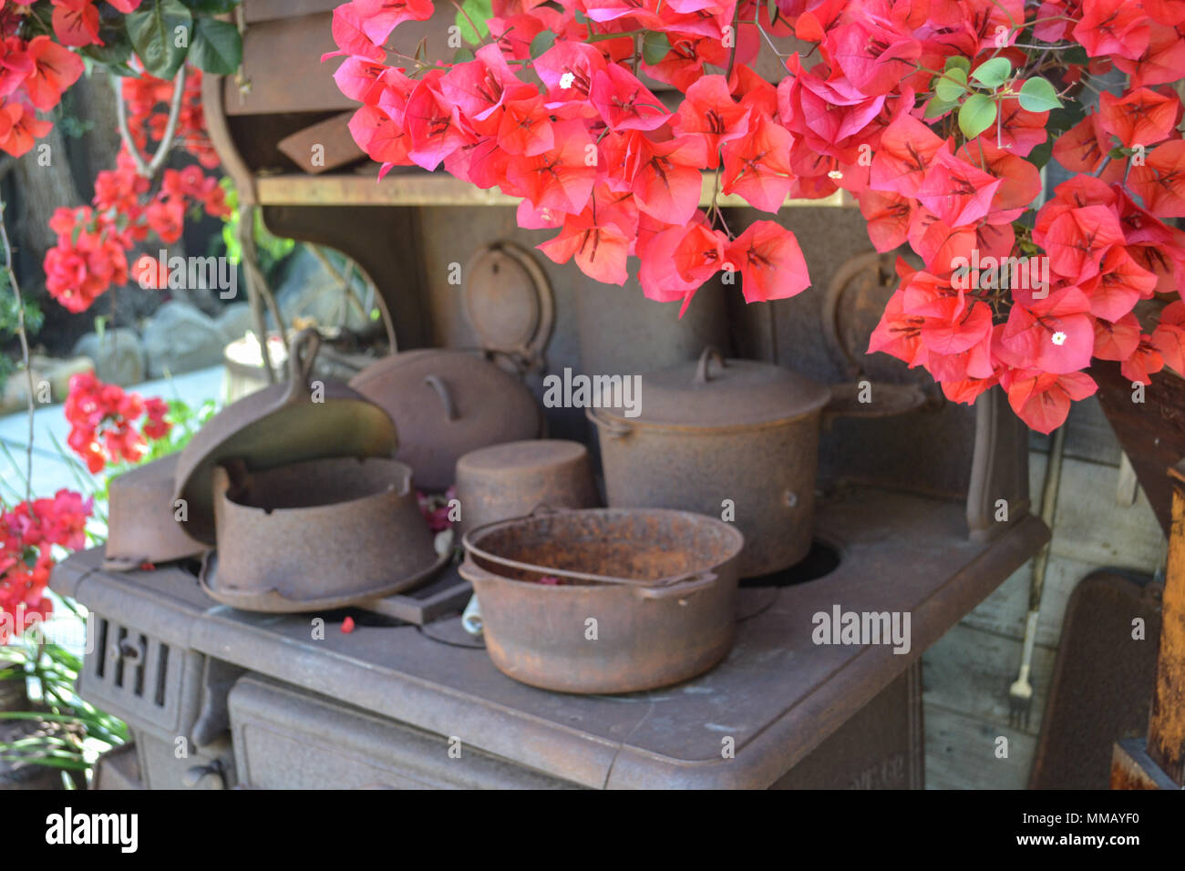 Rancho Bernardo in California - la più antica cantina di lavoro. Vintage scene arrugginita farm equipment per mulini a vento pigramente di filatura nella brezza. Fiori Foto Stock