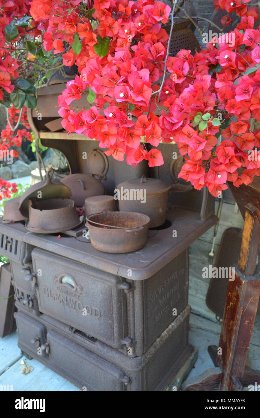 Rancho Bernardo in California - la più antica cantina di lavoro. Vintage scene arrugginita farm equipment per mulini a vento pigramente di filatura nella brezza. Fiori Foto Stock