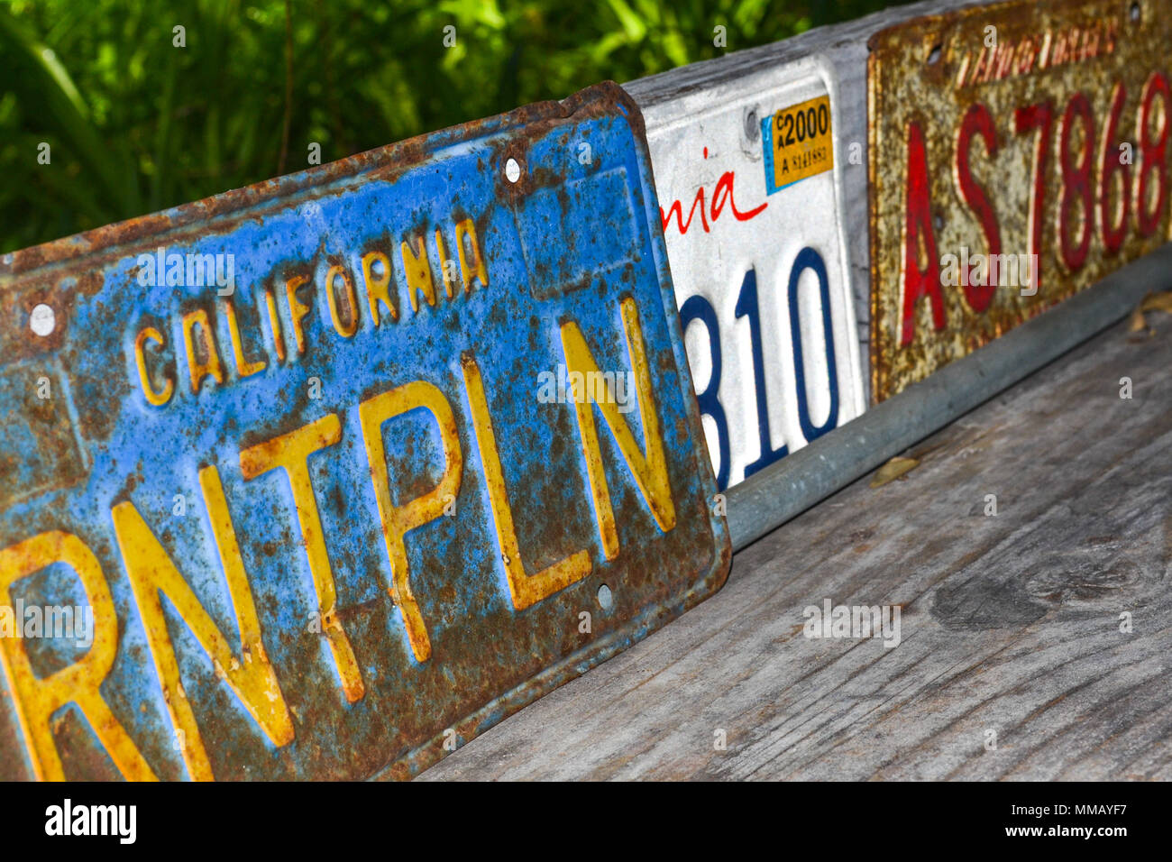 Rancho Bernardo in California - la più antica cantina di lavoro. Vintage scene arrugginita farm equipment per mulini a vento pigramente di filatura nella brezza. Fiori Foto Stock