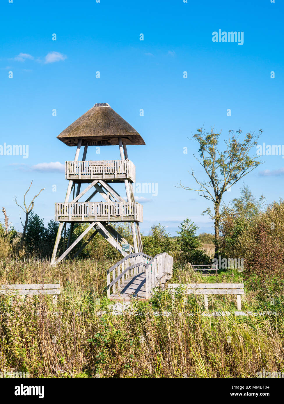 Orologio in legno torre con piattaforma di visualizzazione nella riserva naturale del parco nazionale Oude Venen vicino Eernewoude in Frisia, Paesi Bassi Foto Stock