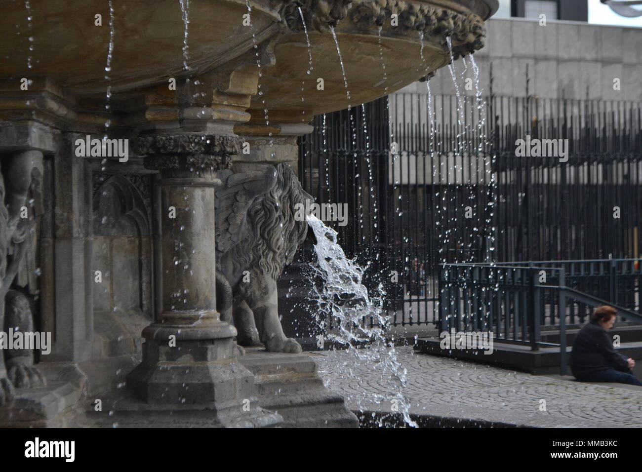 La fontana dei leoni acqua Colonia Germania Foto Stock