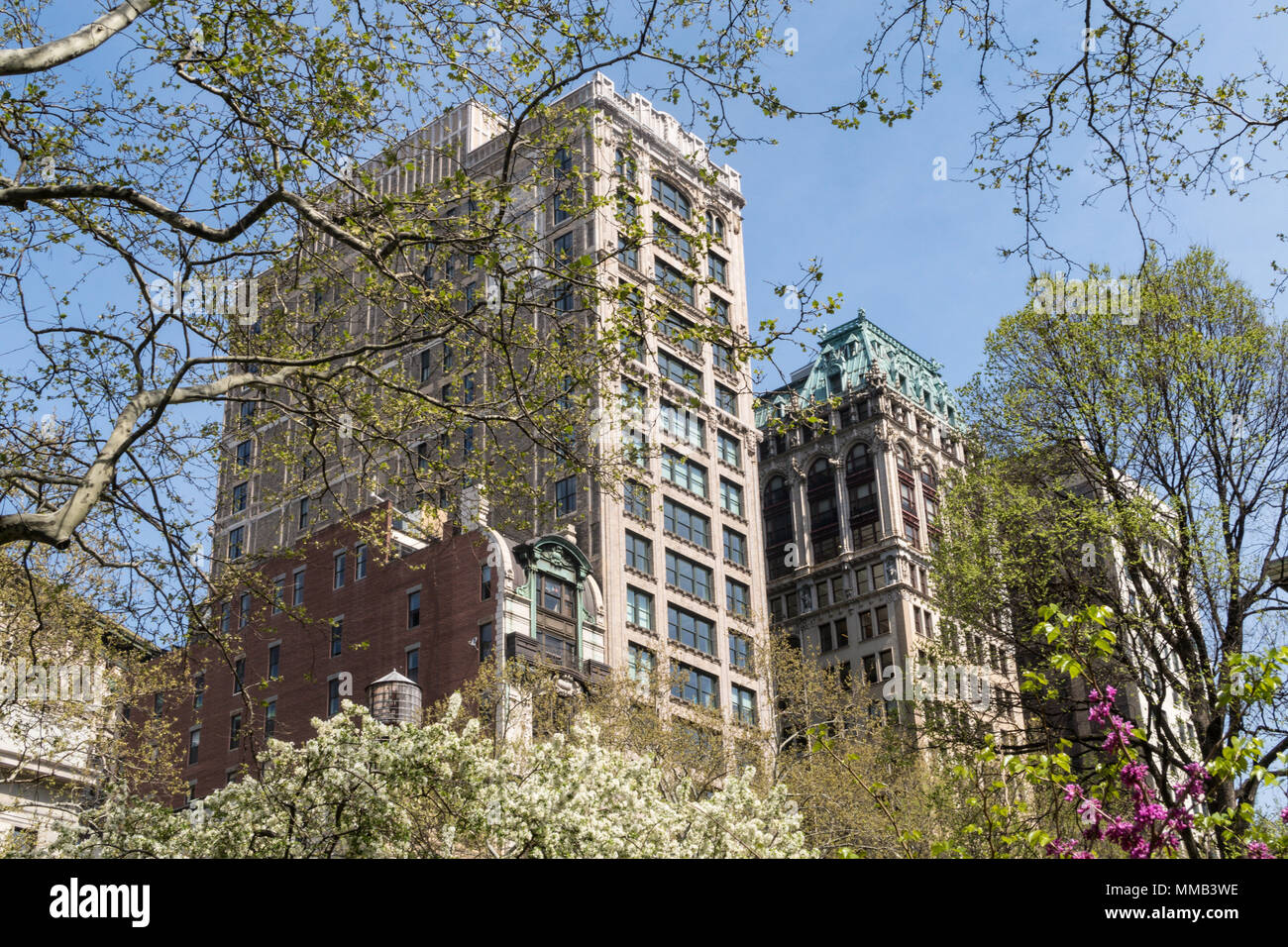 Architettura su Fifth Avenue è visto attraverso il Madison Square Park primavera alberi, NYC, STATI UNITI D'AMERICA Foto Stock
