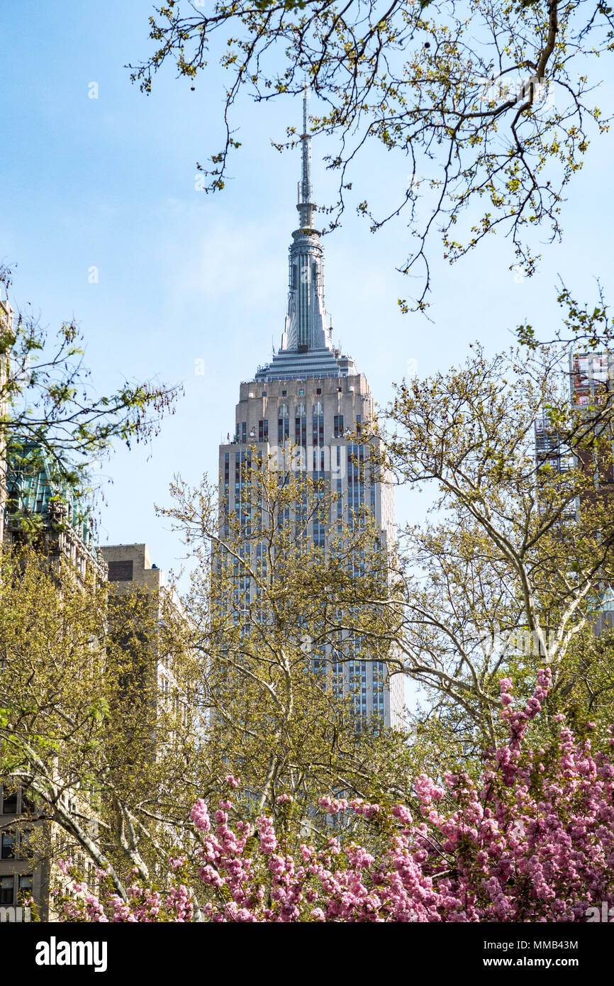 L' Empire State Building è visto attraverso la molla di alberi in Madison Square Park, New York, Stati Uniti d'America Foto Stock