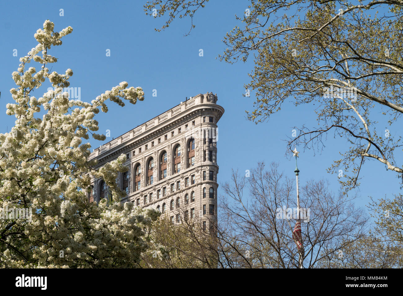 In primavera gli alberi in fiore in Madison Square Park migliorare lo storico Flatiron Building di New York City, Stati Uniti d'America Foto Stock