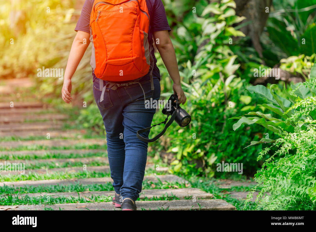 Fotografo di natura a piedi con ingranaggio della fotocamera nel parco per trovare il soggetto di insetti e di explorer Foto Stock