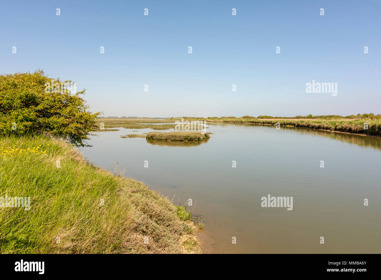 Il lato ovest del porto Pagham Riserva Naturale, West Sussex, Regno Unito. Foto Stock Il lato ovest del porto Pagham Riserva Naturale, West Sussex, Regno Unito. Foto Stock