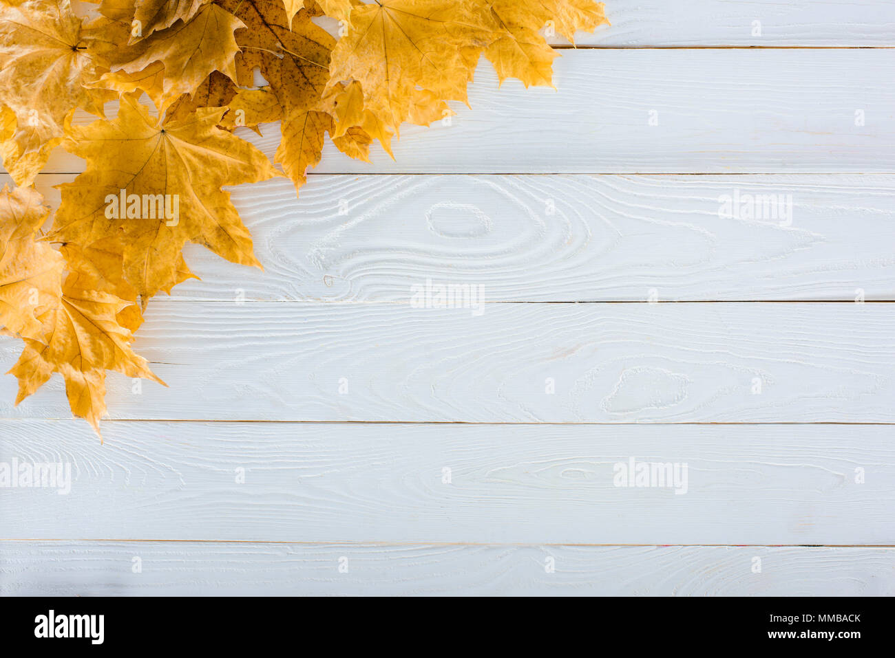 Foglie di acero su una superficie di legno Foto Stock