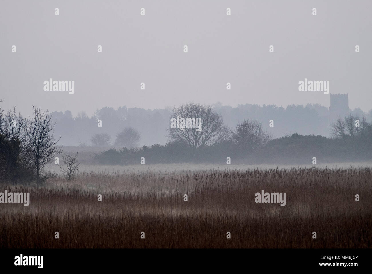 Paesaggio nebuloso con canne e alberi e una torre merlata in distanza. Foto Stock