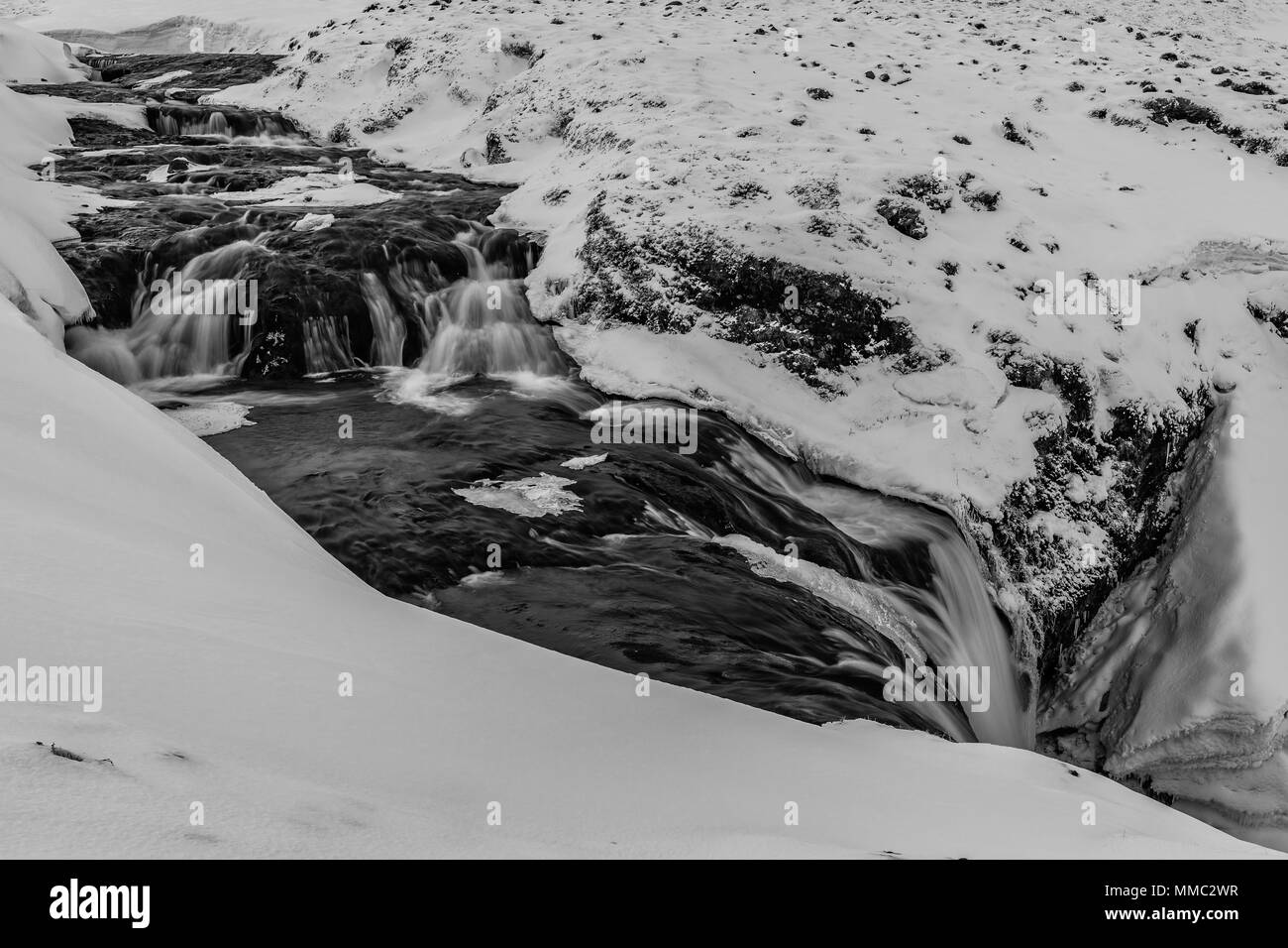 Pecore cascata nella neve, Snaefellsnes, Islanda Foto Stock
